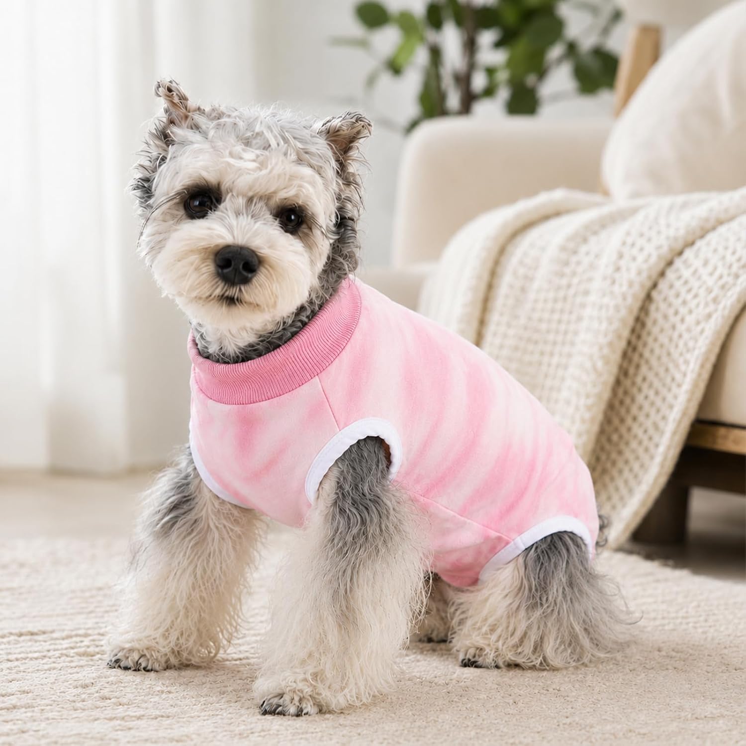 Dog Recovery Suit After Surgery, Surgical Onesie for Spay Neuter | Soft Breathable Anti-Lick Pajamas, Shedding Shirt for Female Male Puppy, Cone Alternative for Abdominal Wound, Skin Diseases