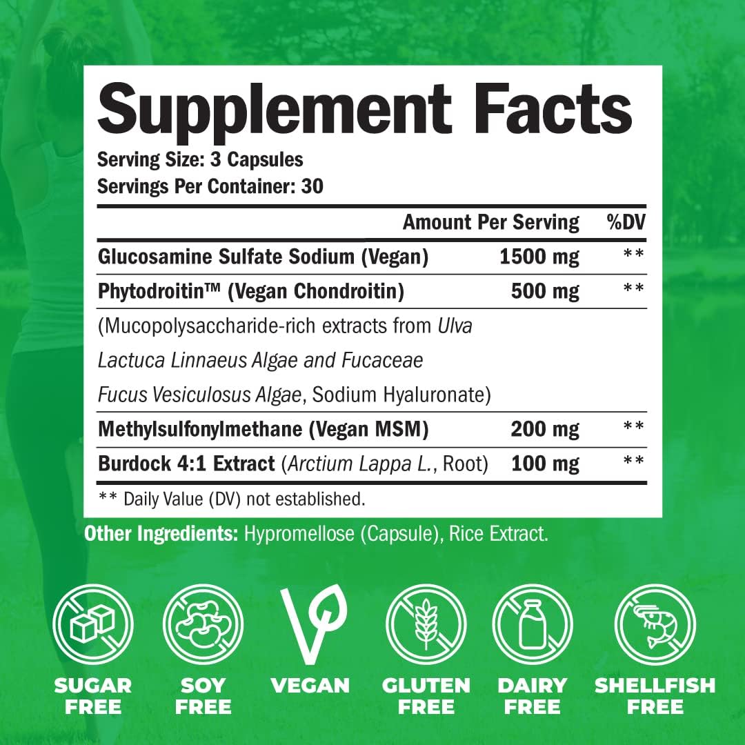Vegan Glucosamine Chondroitin Phytodroitin MSM & Burdock Root - Joint Support Supplement Without Shellfish. 100% Vegan, Non-GMO & Plant-Based - Joints Health & Inflammation Relief. 90 Capsules : Health & Household