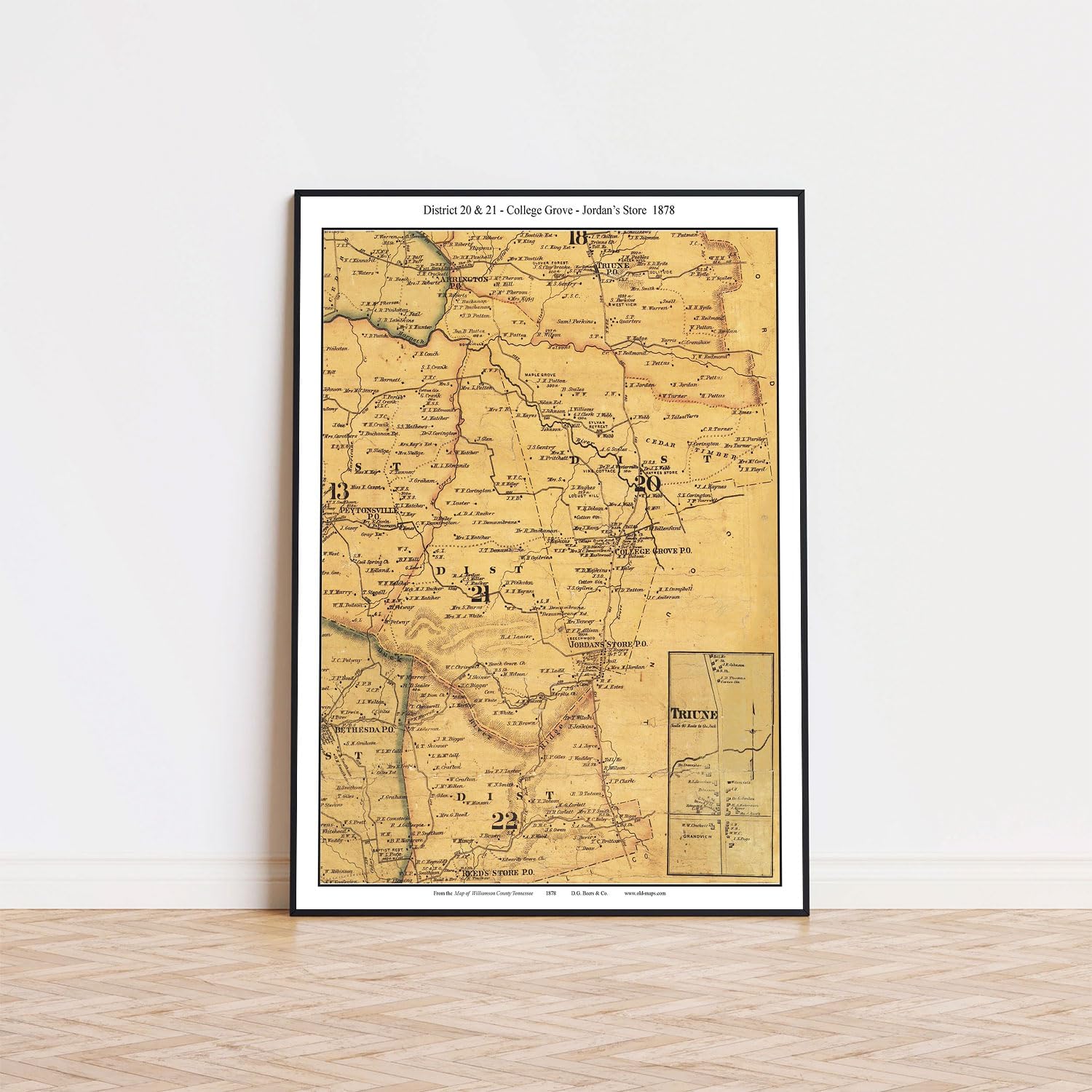 Historical Map Poster Districts 20 & 21 College Grove Jordan's Spring 1878 Tennessee Williamson County | 11x17 12x18 16x24 24x36 Unframed Print Wall Art | Vintage Antique Gift | Home Office Decor