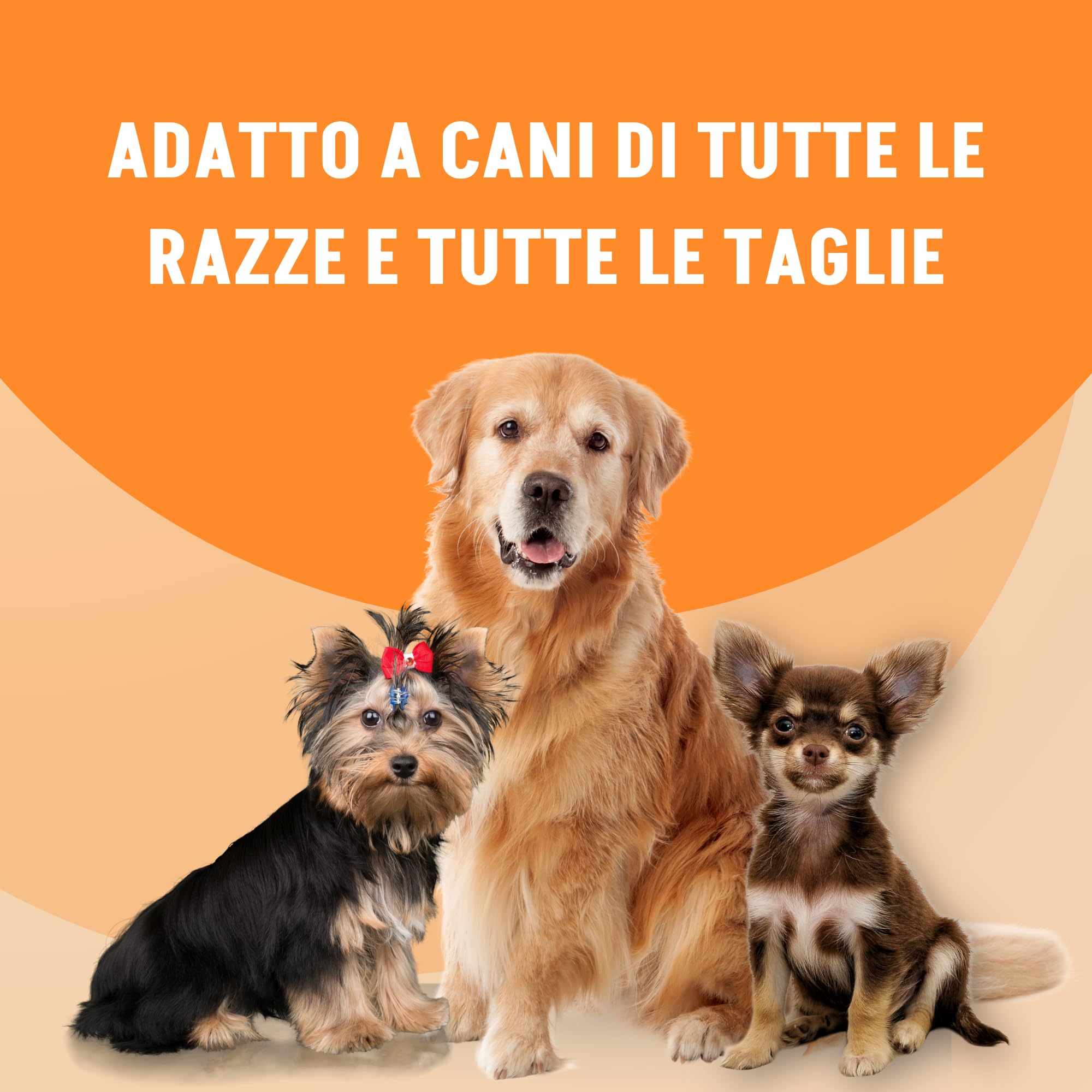 Motix Puppy Suplement stawów dla psów - 100 tabletek 1000 mg - Hydrolizowany kolagen Petagile i Glukozamina - wspomaganie wzrostu i mobilności, witaminy C/E i niezbędne minerały
