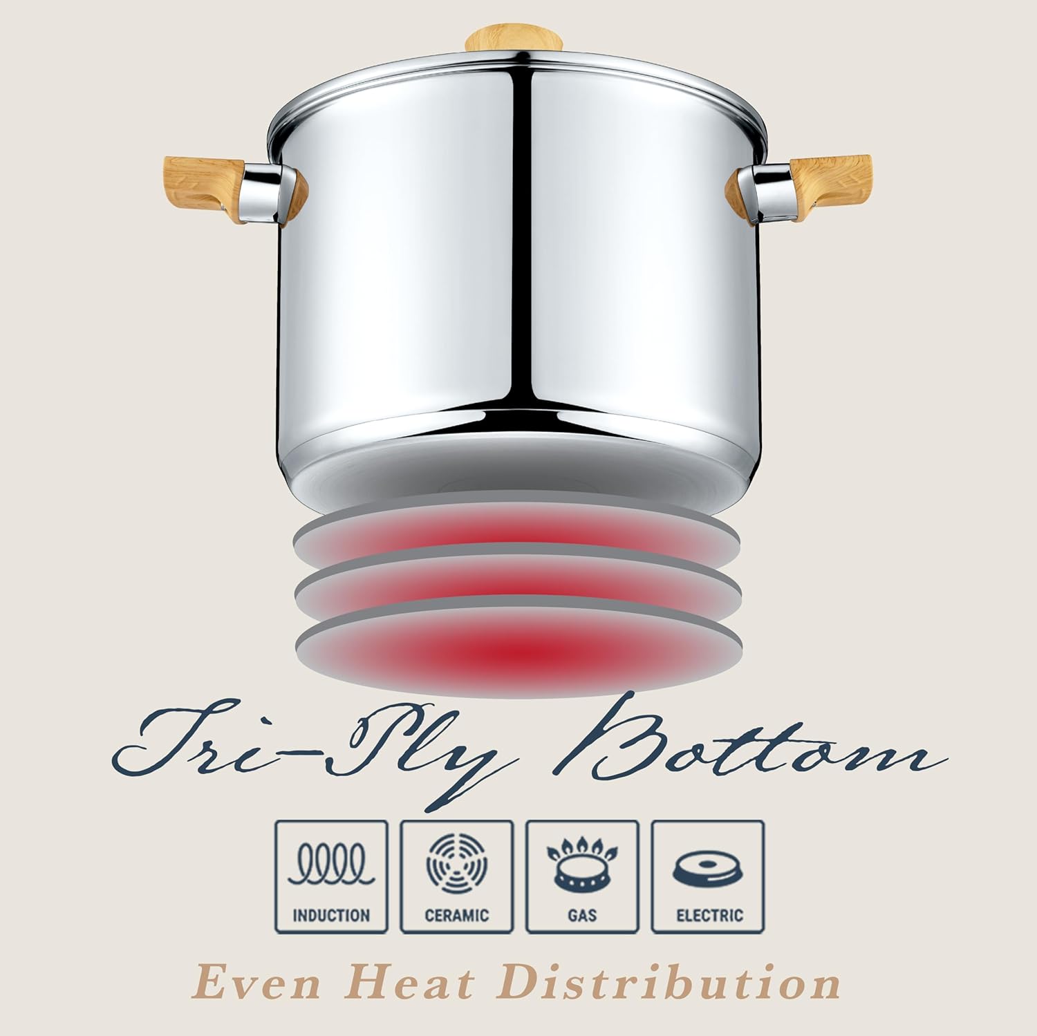 Concord 10 Piece Stainless Steel Cookware Set, includes Saucepans, Stock Pots and Pans/Skillets