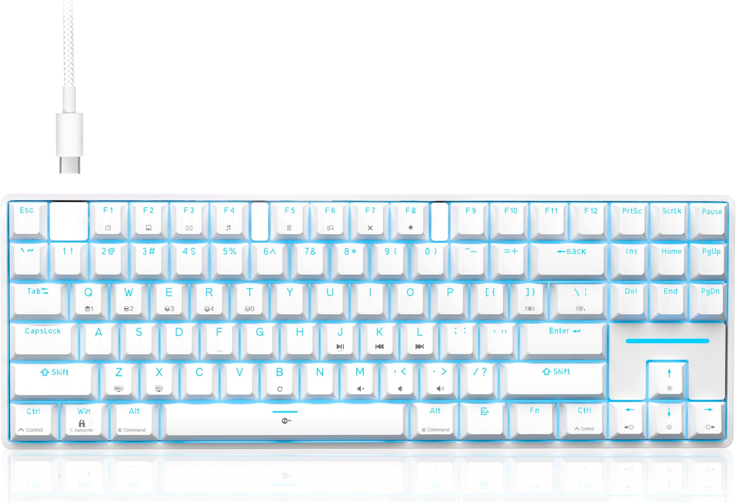 TMKB T87SE TKL Mechanical Gaming Keyboard, Clicky Blue Switch, LED Backlit, Programmable, Full Anti-Ghosting, Detachable USB-C, 87 Keys Compact Wired Computer Keyboard for Windows/Laptop/PC - White