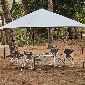 Amazon.co.jp: Coleman(コールマン) アルミデッキチェア