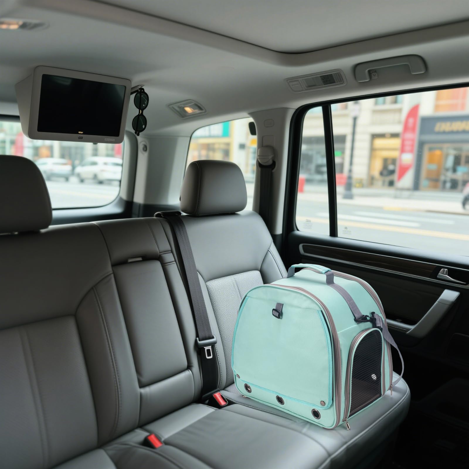 Jaula de viaje para loros con perca, cuenco de comida, bandeja y ventana transparente transpirable, bolsa de viaje para pájaros para cacatúas grises africanas Caique Conure Quaker, para veterinario