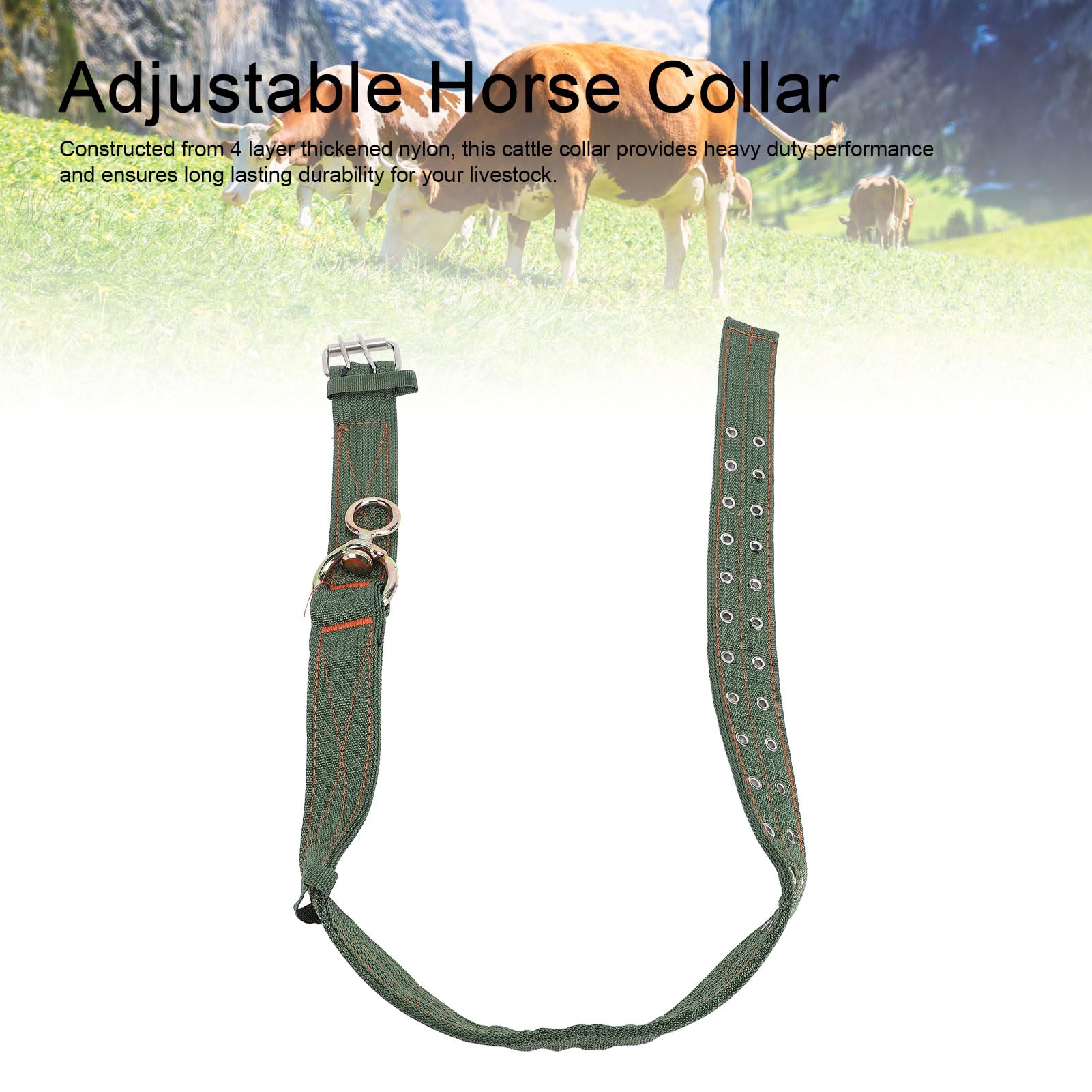 Collier pour bovins en Nylon épais avec Boucle en métal et chaîne de Traction pour Chevaux, Chiens et Animaux de Ferme (Taille Moyenne)