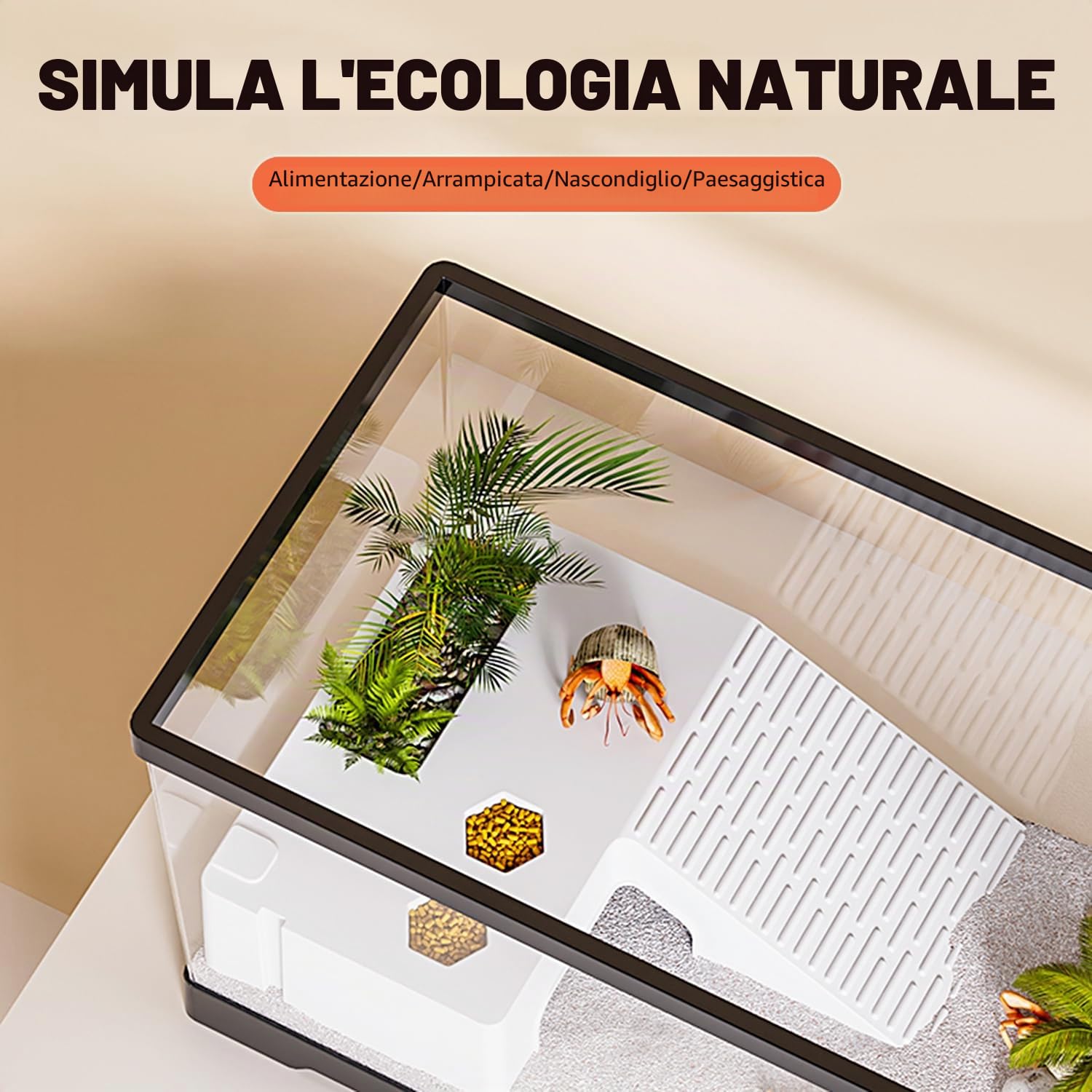 Acquario per tartarughe con drenaggio sul fondo, 20" x 9,5" x 9,5", per tartarughe giovani, gamberi di fiume, granchi, anfibi e rettili (nero)