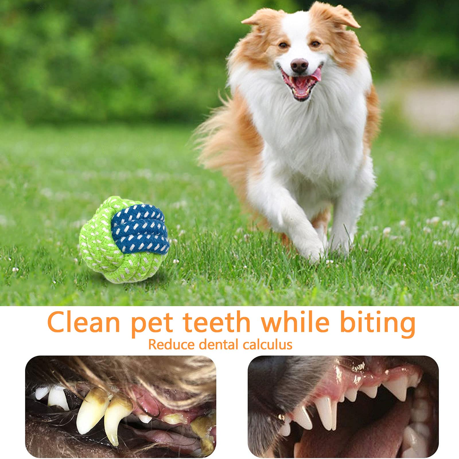 Frasheng Ensemble Lot de 18 de Jouets pour Chien,durables mâcher Corde Jouet,Jouet pour Chien,Jouet Interactif Chien,Peluche pour Chien Jouets,Chien Balles,Coton Naturel,pour Petit et Moyen Chien