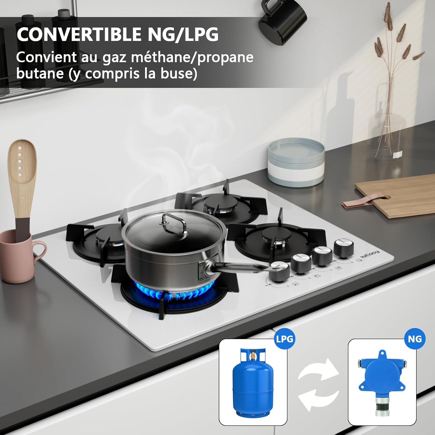 Abbildung des IsEasy-Gaskochfelds mit einer Illustration des Anschlusses für Flüssiggasflasche und Erdgas.