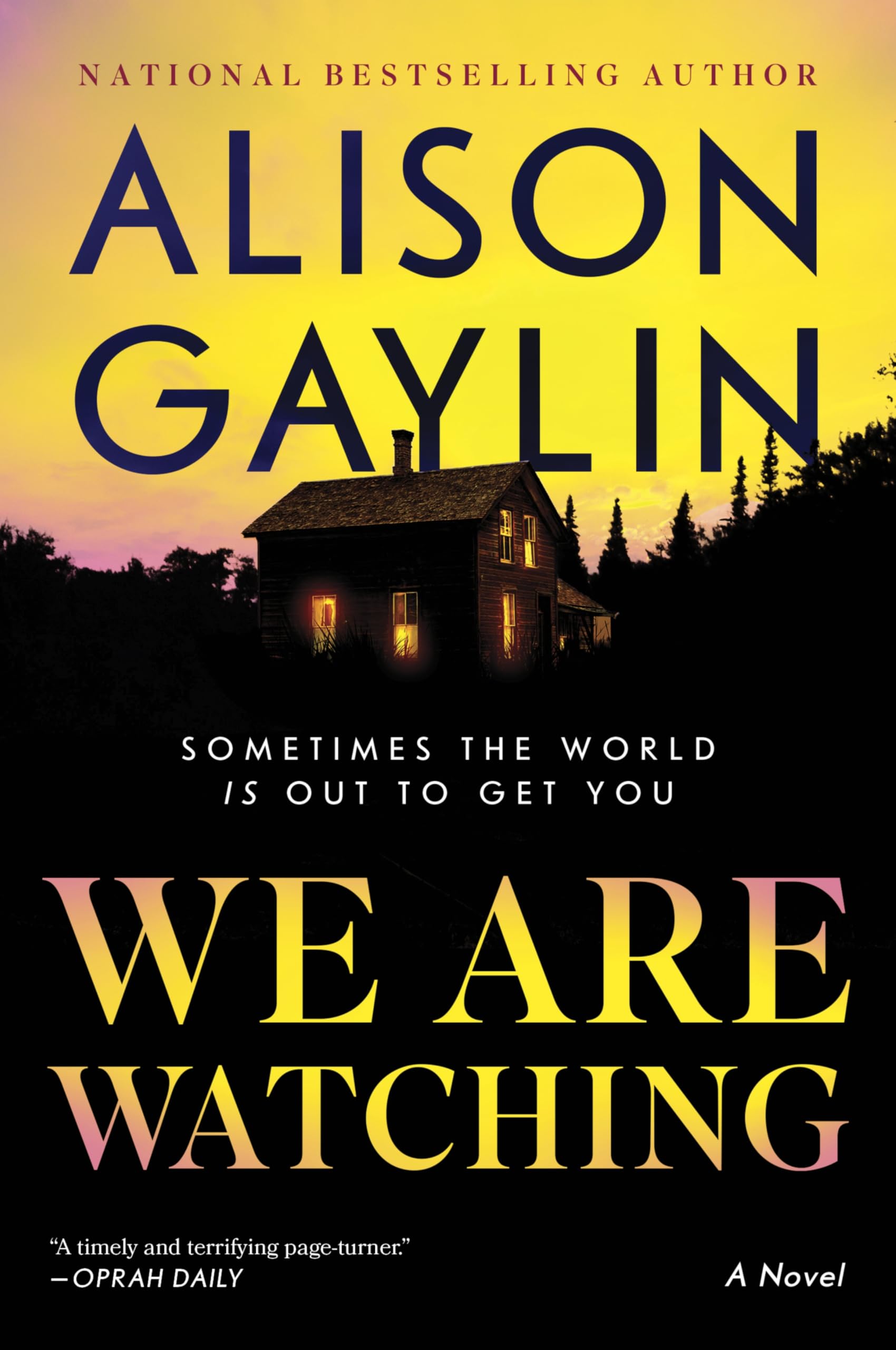 We Are Watching: A Novel