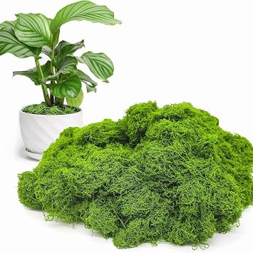 Artificial Foam for Decoration, Fake Anti-UV Foam Moisture Resistant, Ideal for Garden, Terrarium, Outdoor Interior Decoration, Natural Green Foam Rugs 300g