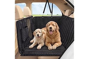 Hard Backseat Cover for Dogs in Car Keeps Pets Off Floor