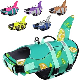 CITÉTOILE Life Jacket Dog Shark, Lightweight and Safe for Water Sports, Dog Life Jacket with Handle and Reflective for Small, Medium and Large Dogs, Lemon Green, M product image