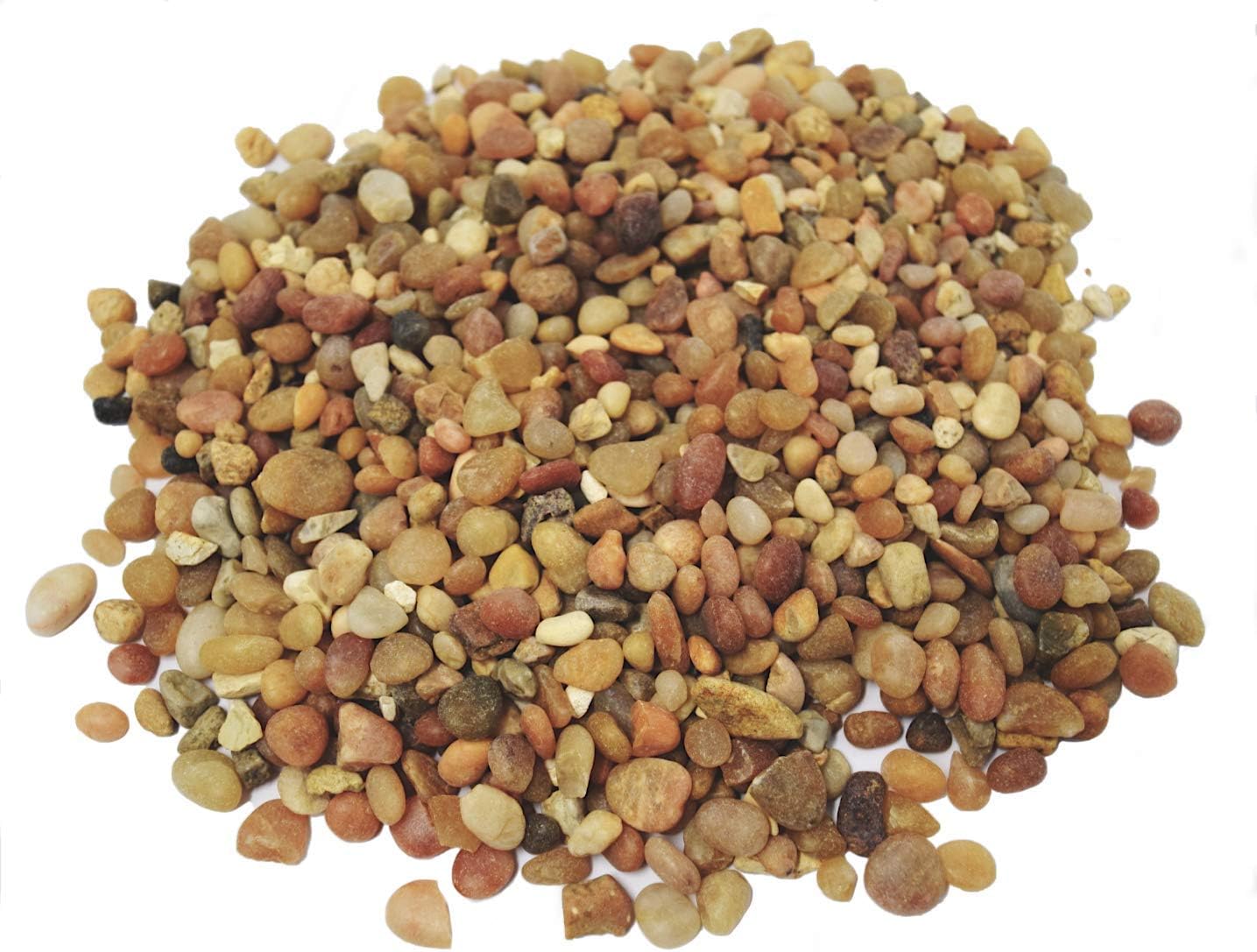 1 lb - Washed Pea Gravel - Succulent Pebbles and Rocks for Plants - Planter and Fairy Garden. Great Fairy Garden Accessories