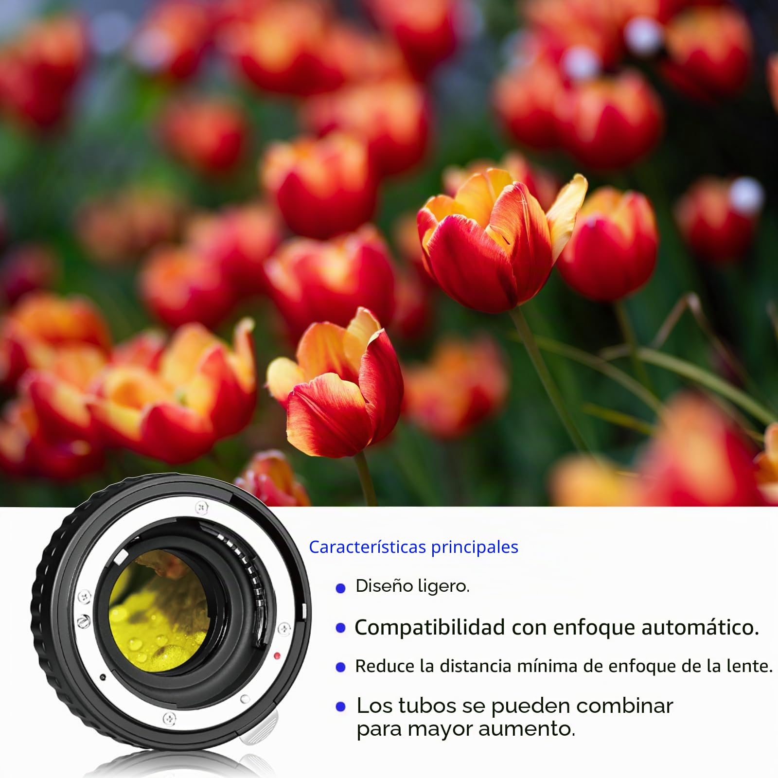 Meike MK-N-AF1-A - Kit de adaptador para cámara Nikon DSLR (12 mm, 20 mm, 36 mm)