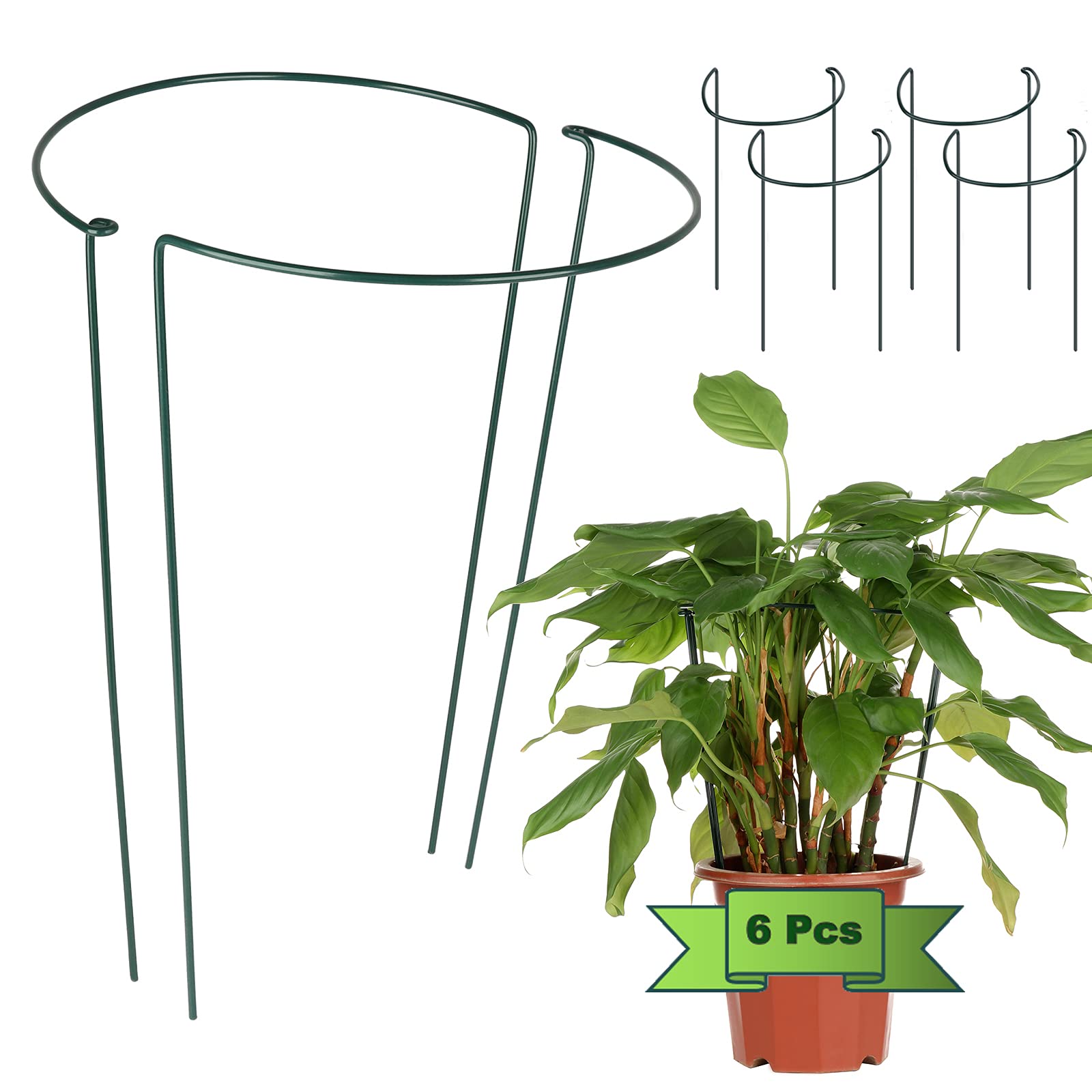 Lot de 6 tuteurs semi-circulaires en métal pour pivoine, tomate, rose, légumes, hortensia, fleurs de vigne - 30 x 50 cm