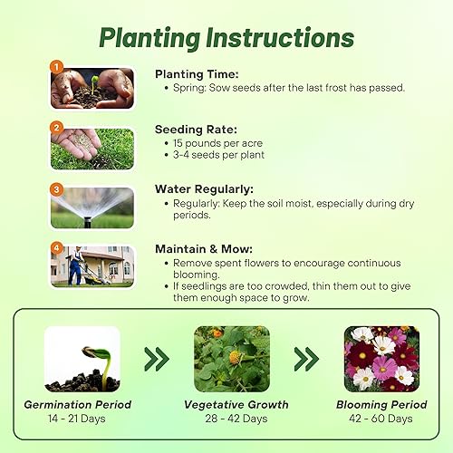 Miniatura 4 de Outsidepride Cosmos Garden - Mezcla de semillas de flores silvestres - 1 libra