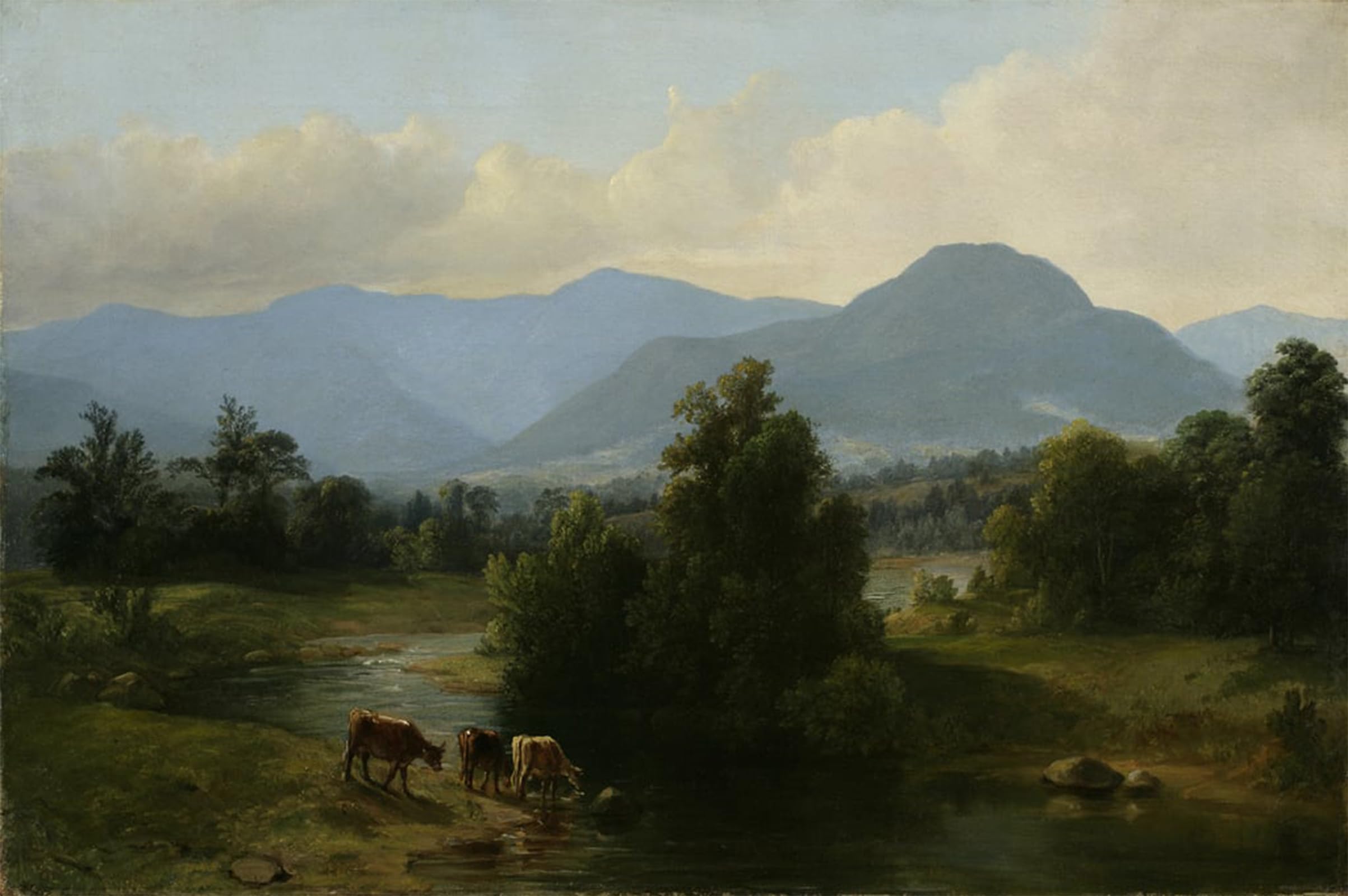 POSTERIIk Famous Animal Posters Vintage Picture View of the Shandaken Mountains New York by Asher Brown Durand Modern Wall Decor for Home Decor 60x90cm