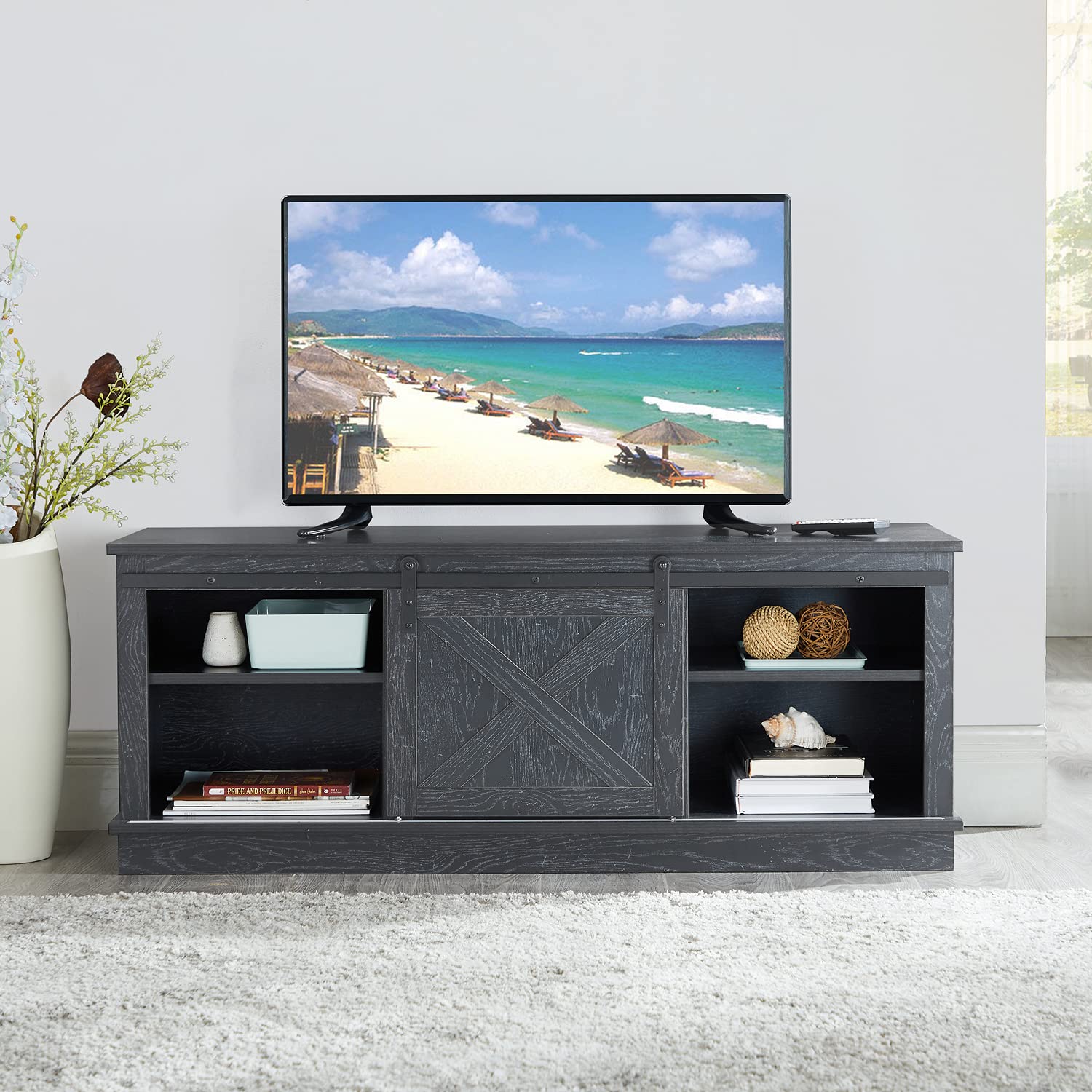 Buy Shelby Modern Sliding Barn Door TV Stand for TVs up to 50 Inches