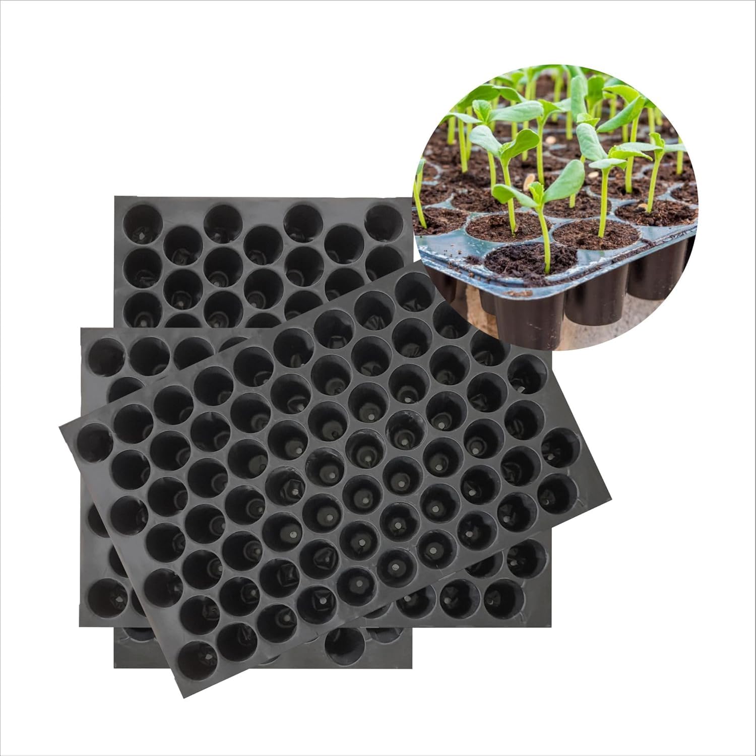 MAHIRA Germination Seedling Tray - Pack of 5 (Black, 70 Holes) Seedling Trays for Plants, Germination, Nursery Trays for Seedling, Reusable Hydroponic Trays, Seed Tray, 70 Cavities Seeding