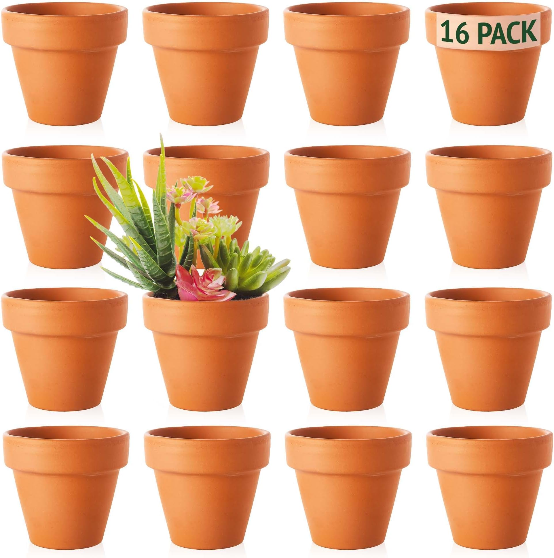 6 Mini White Terracotta Plant Flower Pots for Crafts 4.6cm High (No Hole) Amazon.co.uk Garden