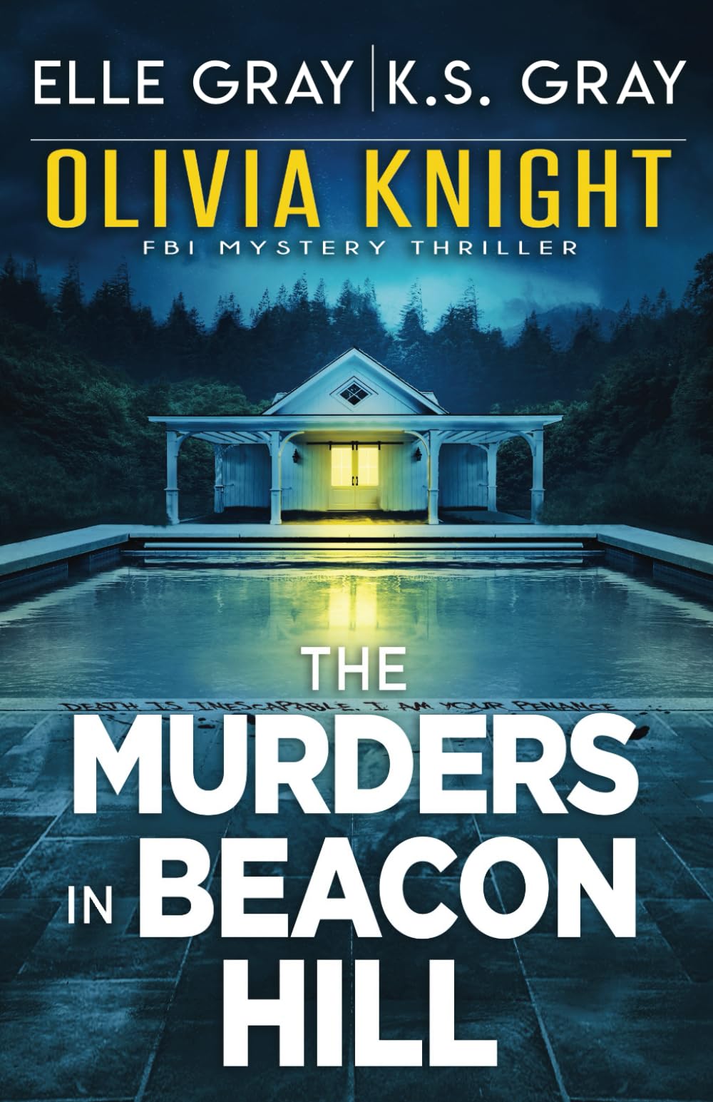 The Murders in Beacon Hill: 2 (Olivia Knight FBI Mystery Thriller)