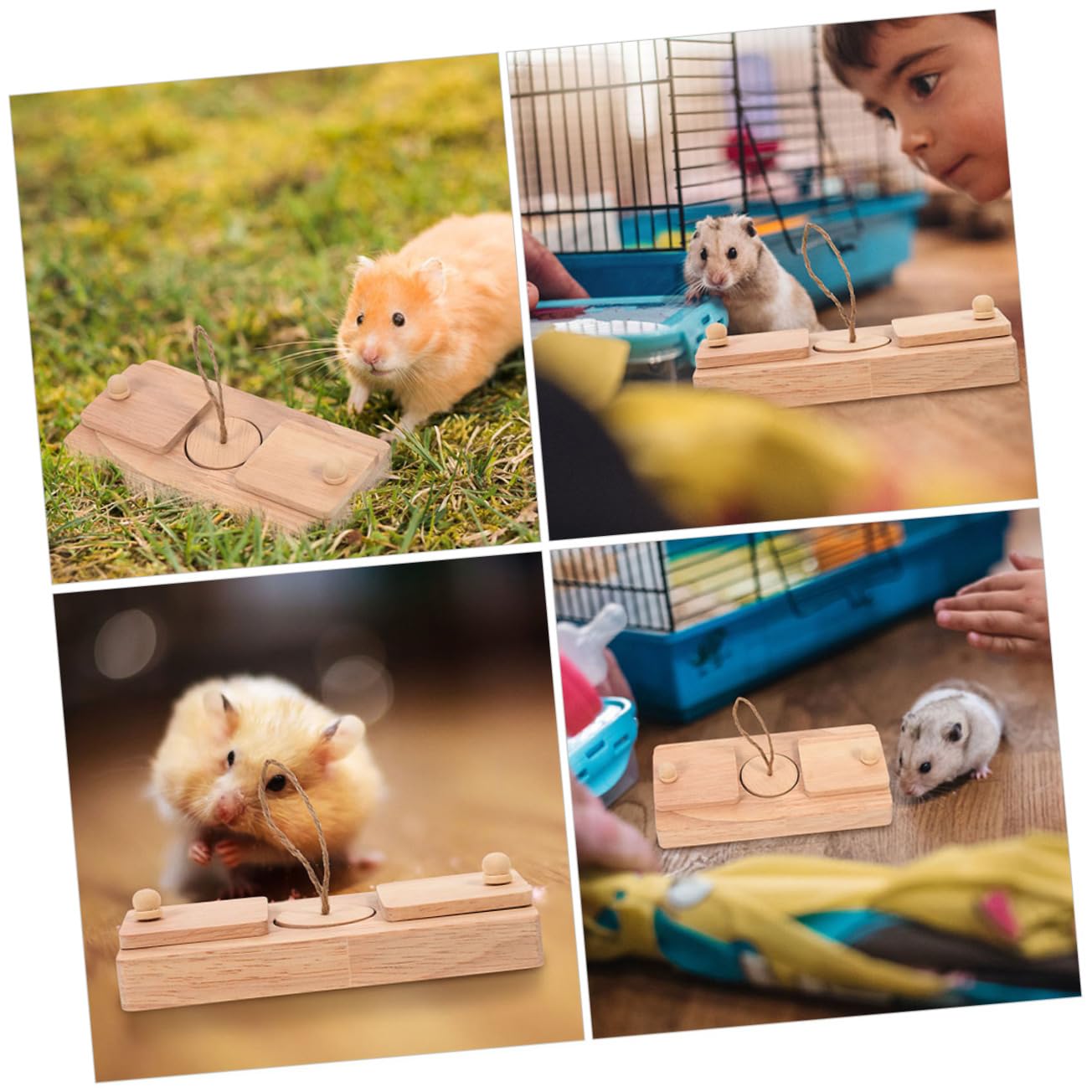 Hamster Spielzeug für Beschäftigung und Bewegung