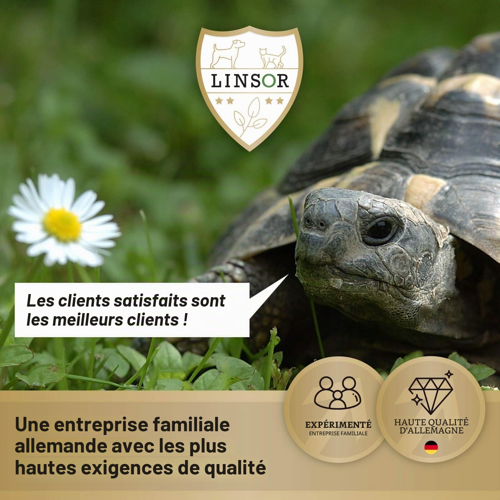 Mélange de graines de prairie sauvage pour gazon naturel parfumé, 1 kg pour 100 m²