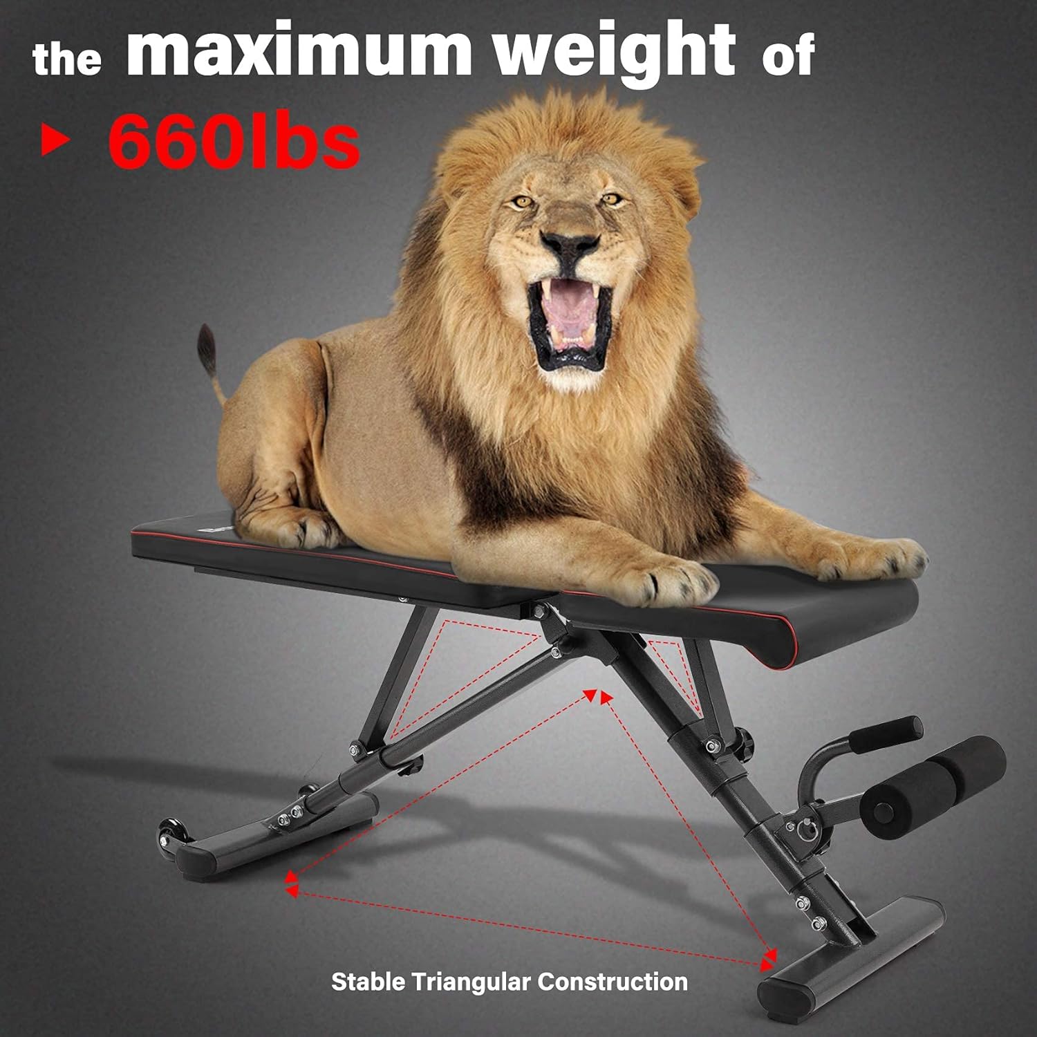 Bronze Times Weight Bench Adjustable, Strength Training Bench for Full Body Workout Foldable Incline Decline Exercise Bench with Fast Folding for Home Gym : Sports & Outdoors
