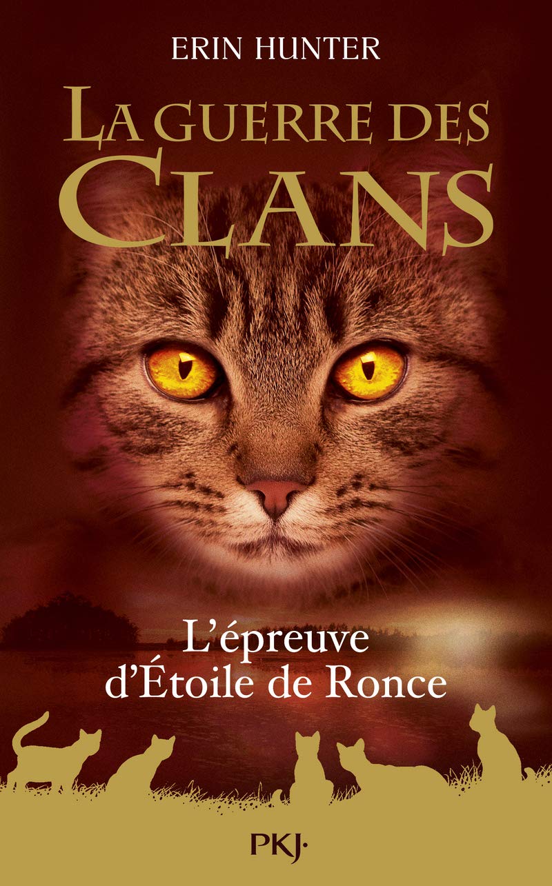 La guerre des clans - Hors-série 5 L'épreuve d'Etoile de Ronce (5)