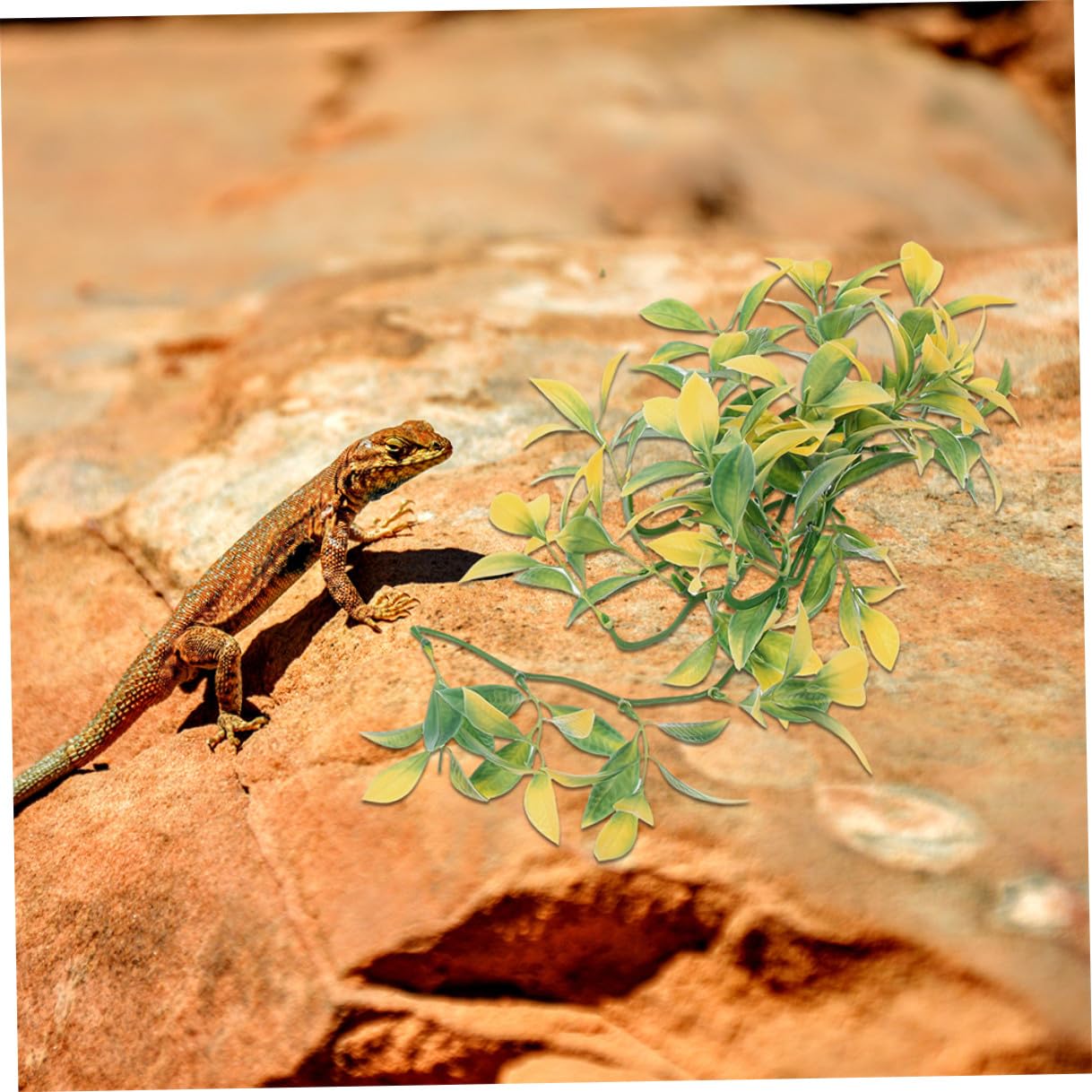 Hemobllo 6piezas Decoración de Plantas de Reptiles para Terrarios Enredaderas Colgantes Artificiales de Plástico para Decorar Terrarios de Serpientes