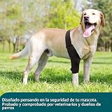 Ver la foto 5