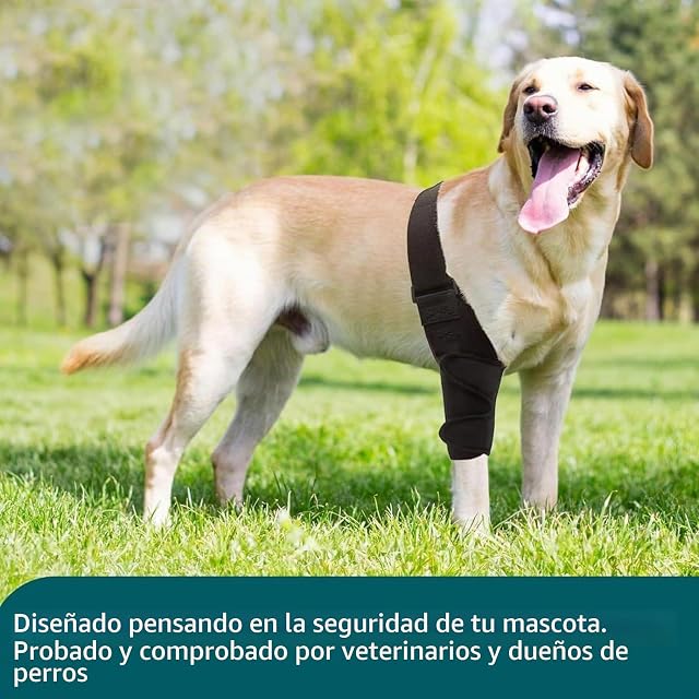 Foto 5 de 7 de QYJLOFMVE Rodillera para Perros, Soporte para Perros Grandes y pequeños Que sufren de ACL, CCL