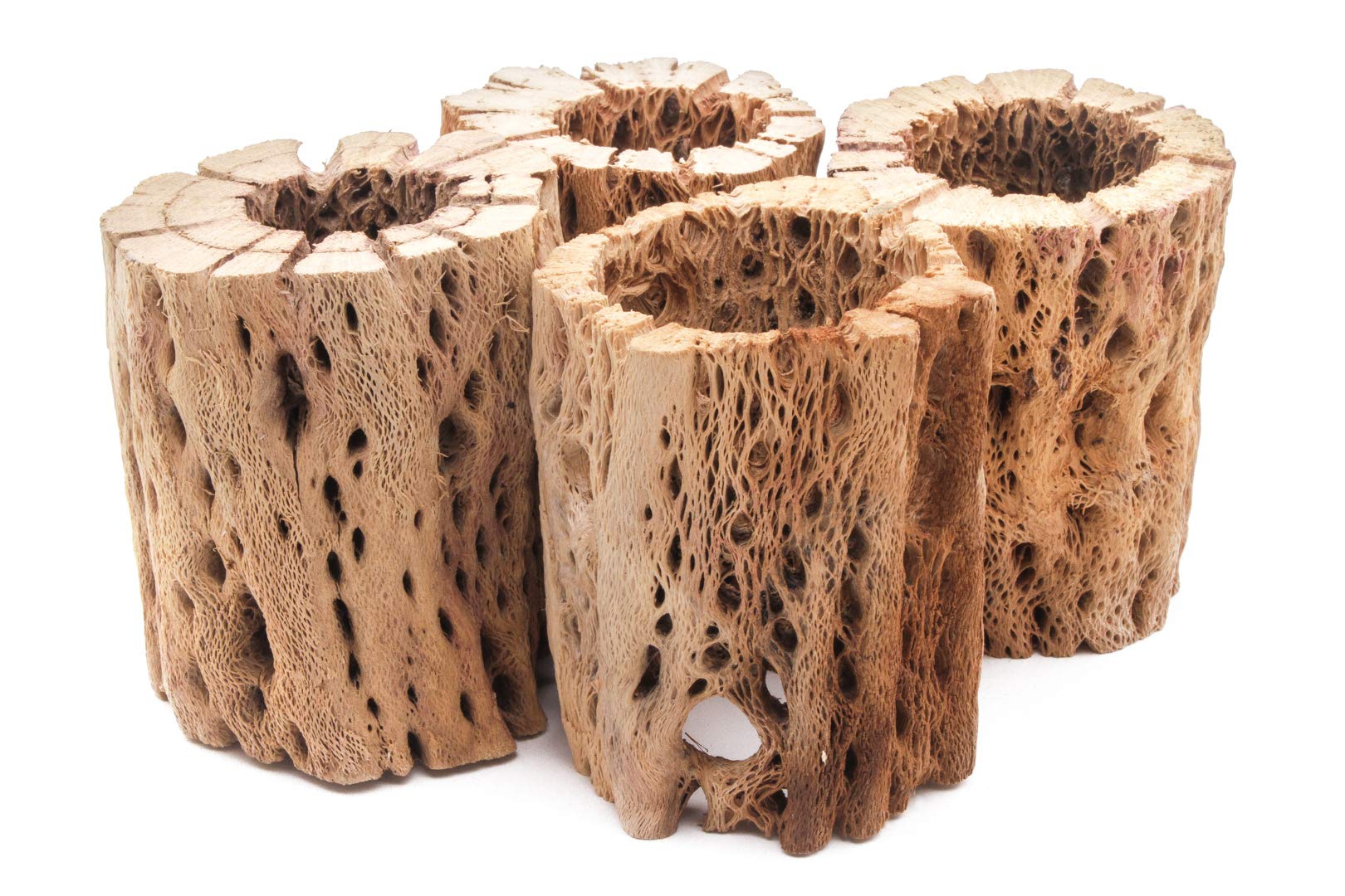 3 to 48 Inch All Natural Teddy Bear Cholla Wood Extra Hollow Large Untreated Organic Aquarium Driftwood Decoration Chew Toy Shrimp Crab Multi-Quantity (4 Pieces, 3 inch)