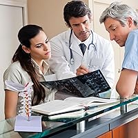 Vista 6 de Modelo de columna cervical con vértebras cervicales, nervios cervicales, arterias vertebrales y placa occipital para educación médica