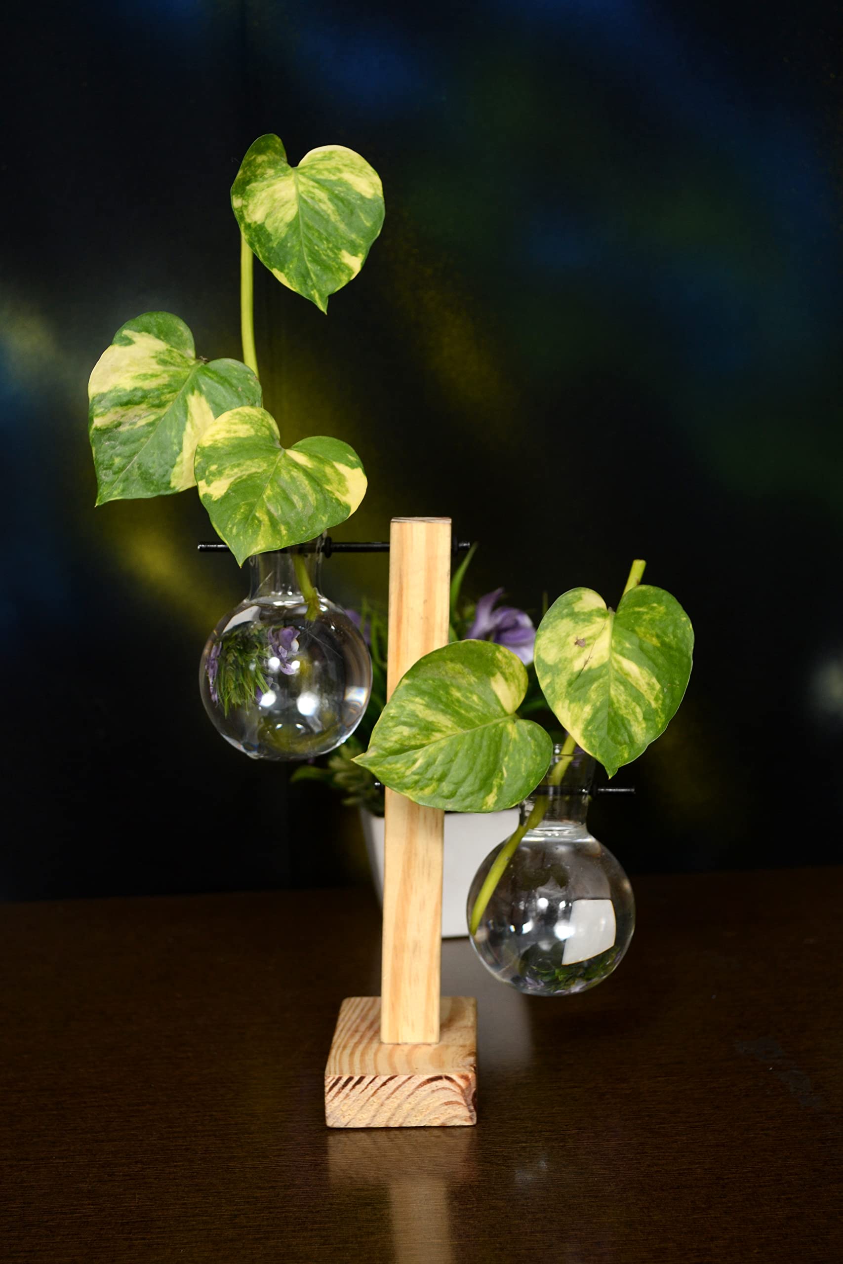See full amazon price history chart for The Paradise Wooden Flask Stand Planter Flask Planters Modern Flower Bud Vase with Wood Stand Tabletop Glass Terrarium for Propagating Hydroponics Plants Home Office Decoration (Design 3) The Paradise Wooden Flask Stand Planter Flask Planters Modern Flower Bud Vase with Wood Stand Tabletop Glass Terrarium for Propagating Hydroponics Plants Home Office Decoration (Design 3) (B0B38RNCZ1) Amazon Price History, Amazon Price Tracker