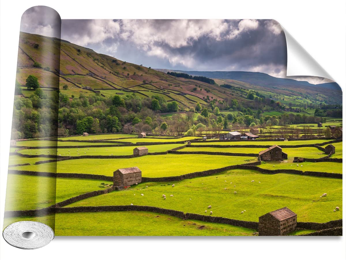Papier peint adhésif protection murale 250x104cm décor moderne Champ du Yorkshire