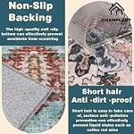 CHAMPLANT Area Rug 6'x9' Washable Vintage Traditional Floor Cover Thin Retro Kitchen Indoor Distressed Non Slip Carpet for Living Room Bedroom Dining Room