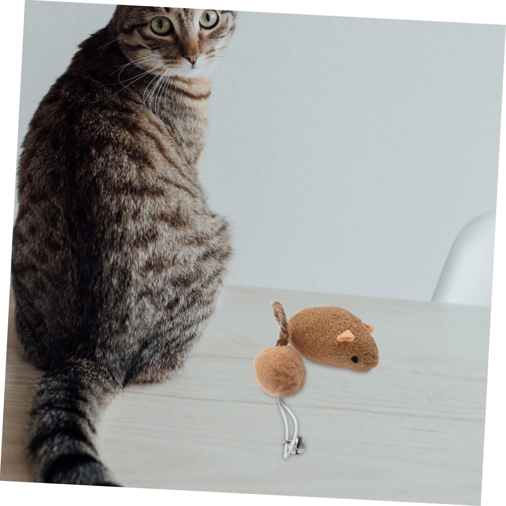 FRCOLOR Lot de 6 Jouets Souris en Peluche pour Chaton et Chat, avec Clochette, Jouets Solides Résistants aux Morsures pour Divertir et Soulager L'ennui Quotidien