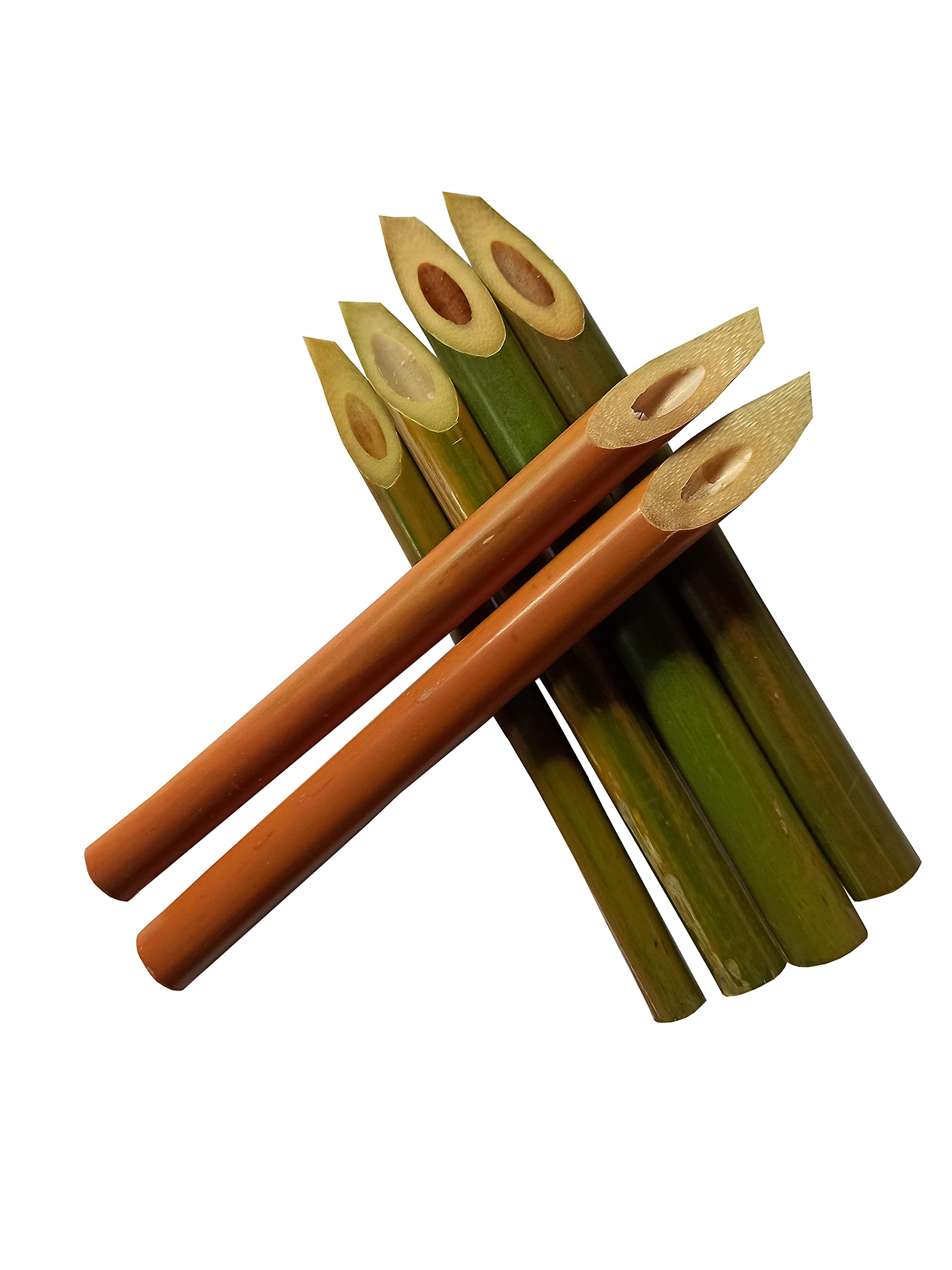 Calligraphy Arabic English bamboo pen (pack of 6 pens)