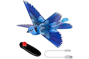Go Go Bird: A Bird-Soaring RC Toy Experience