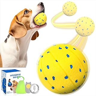 TGFIX ETPU Interactive Play Ball for Dogs with 3 Game Modes IPX7 Storage Bag, Dog Ball Electric Dog Toy Indestructible, Self-Rolling Ball Dog Moves (Money)
