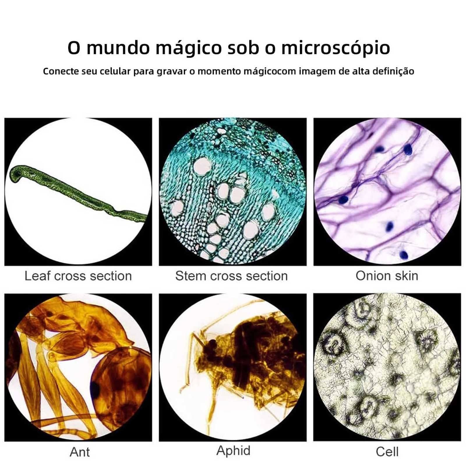 Mikroskop 40x-6000x/10000x/20000x, mikroskop stereoskopowy lornetka biologiczna studenta podwójny podświetlany filtr, podwójne ogniskowanie/stolik mechaniczny//torba/30 próbek, 10000X (6000X)