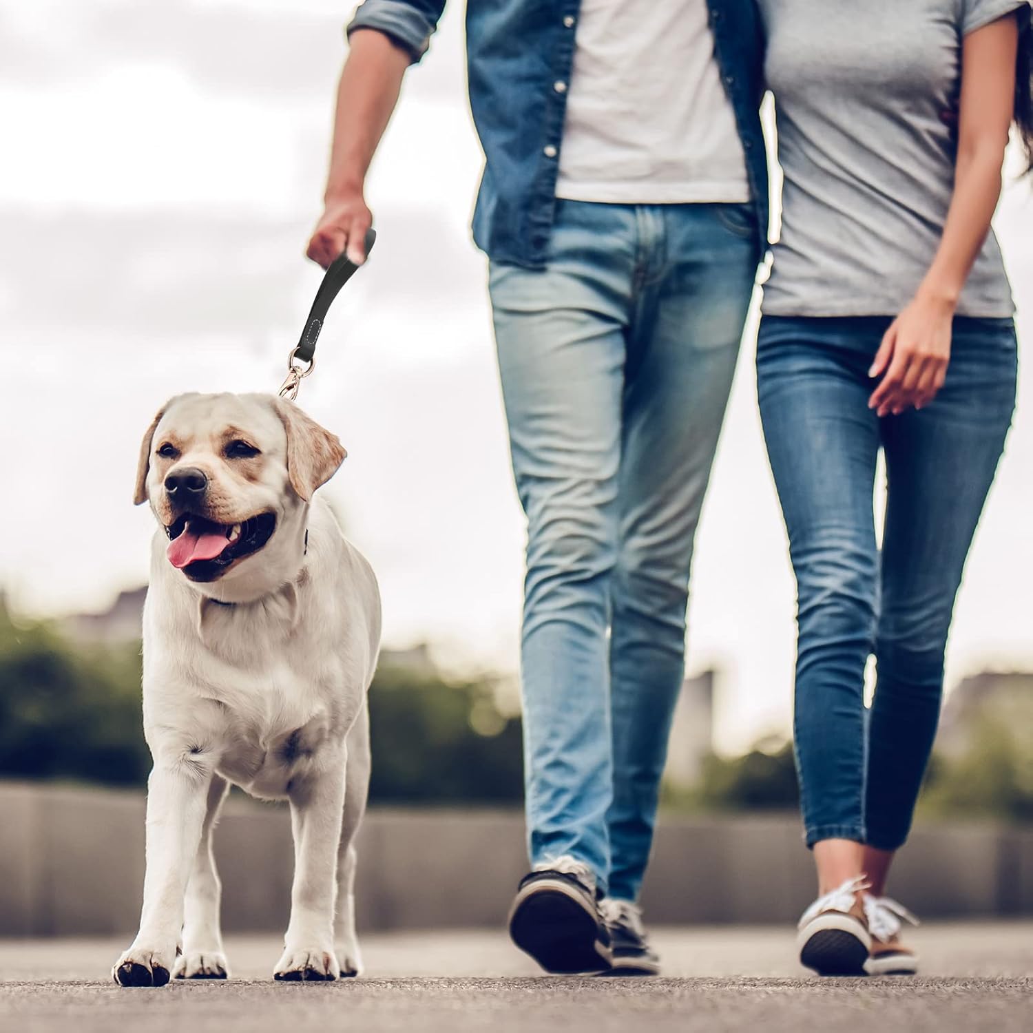 犬用リード｜FIREDOG ラバーグリップリーシュ｜犬グッズ通販HAU GIZMAC 2個 犬用リード 12 x 3/4インチ レザー犬用リード 小型犬用 ソフトレザーリーシュ メタルクリップ付き 大型、