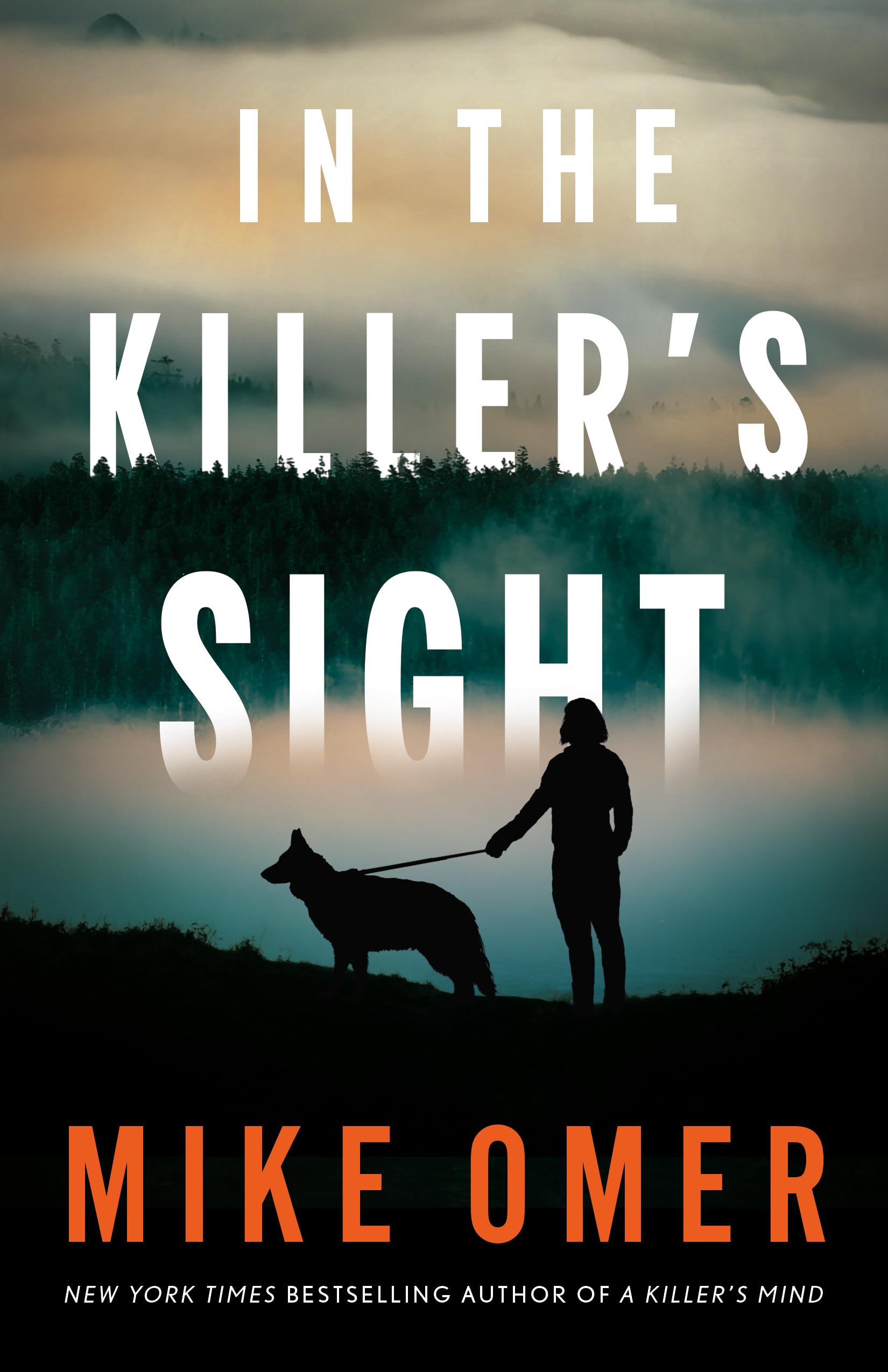 In the Killer's Sight: 1 (Kate Marino Thrillers)