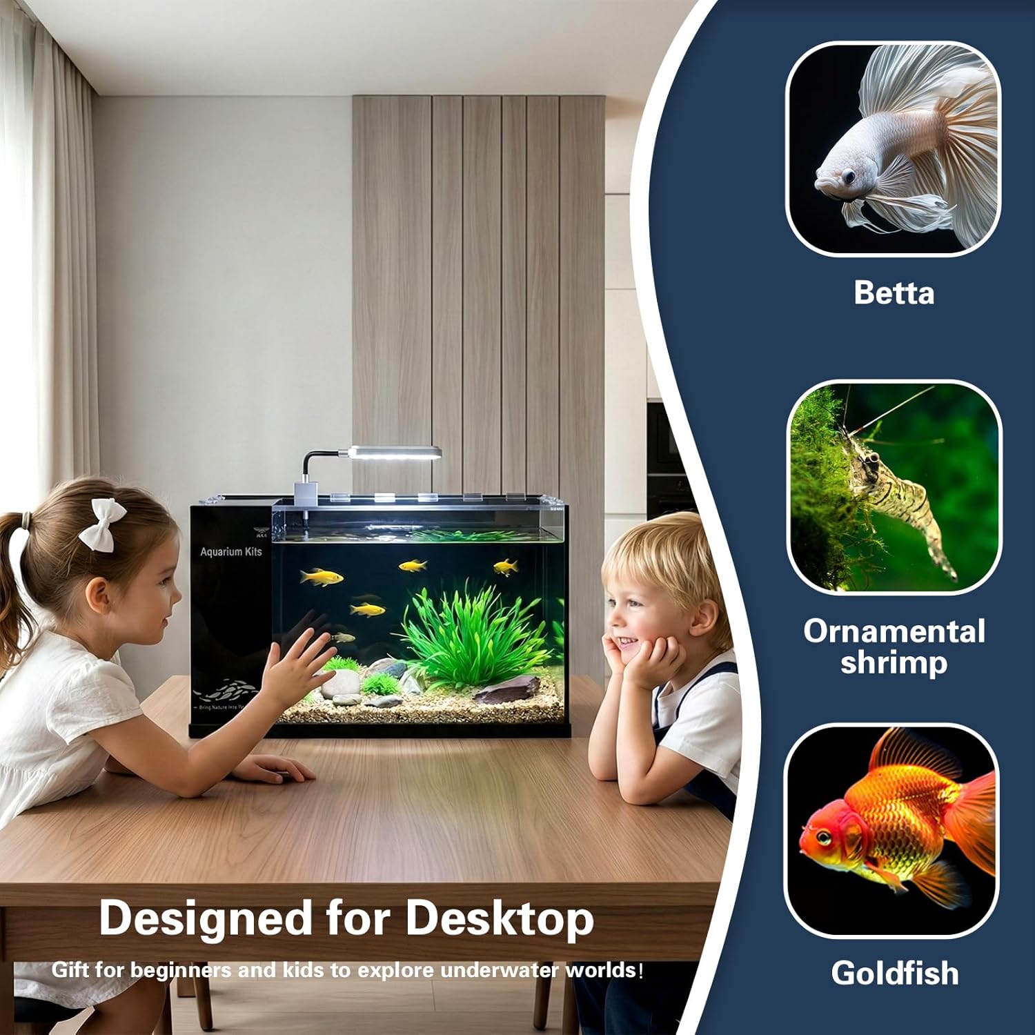 Fish Tank Kit,3 Gallon Small Aquarium,Ultra-Clear Nano Aquarium,Betta Fish Tank,Suitable for Small Fish Tank,Aquarium Starter kit,Desktop Fish Tank (Black Background)