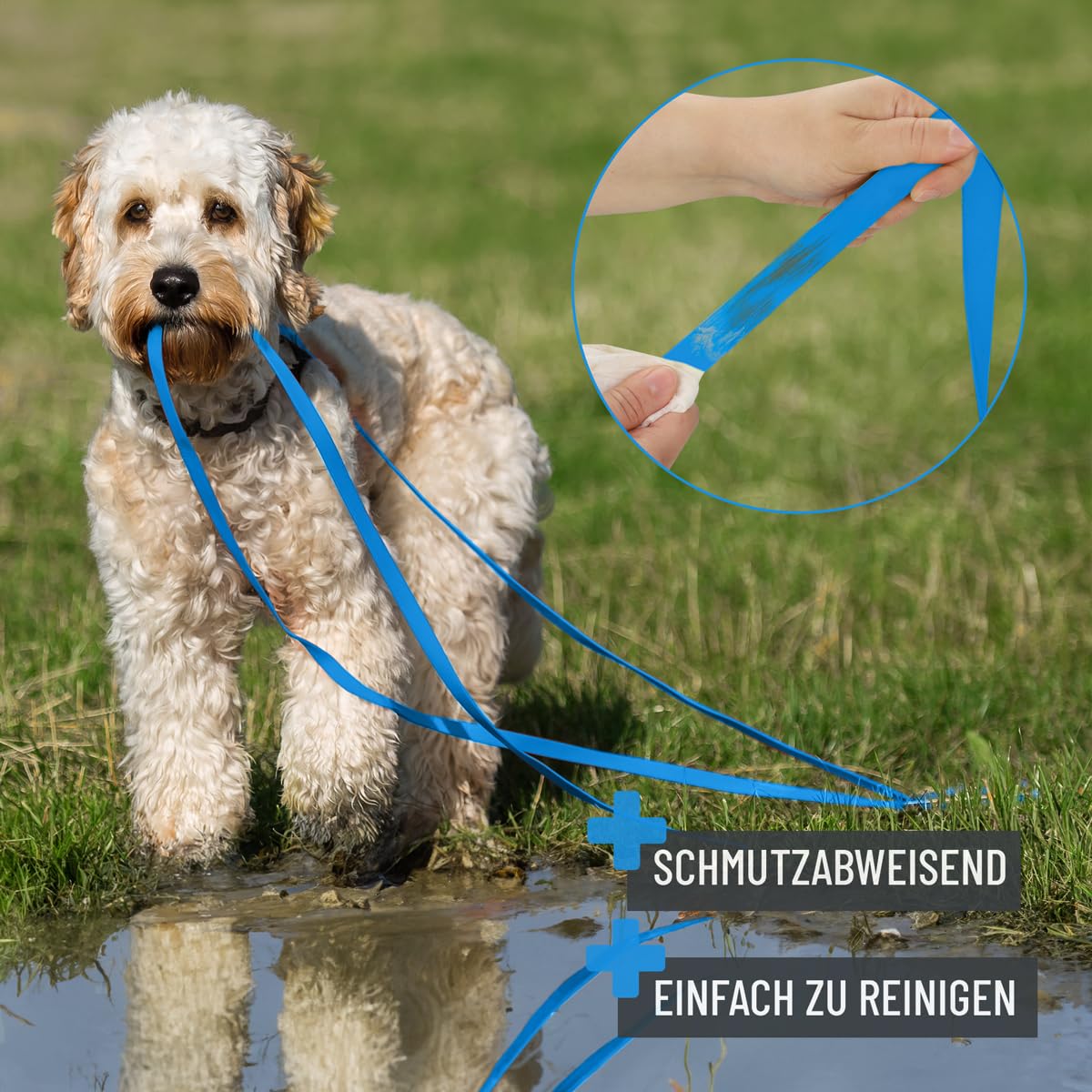 ReaVET Guinzaglio da traino per cani, 5 metri, blu, robusto e impermeabile, lungo, con manico, per cani grandi e piccoli