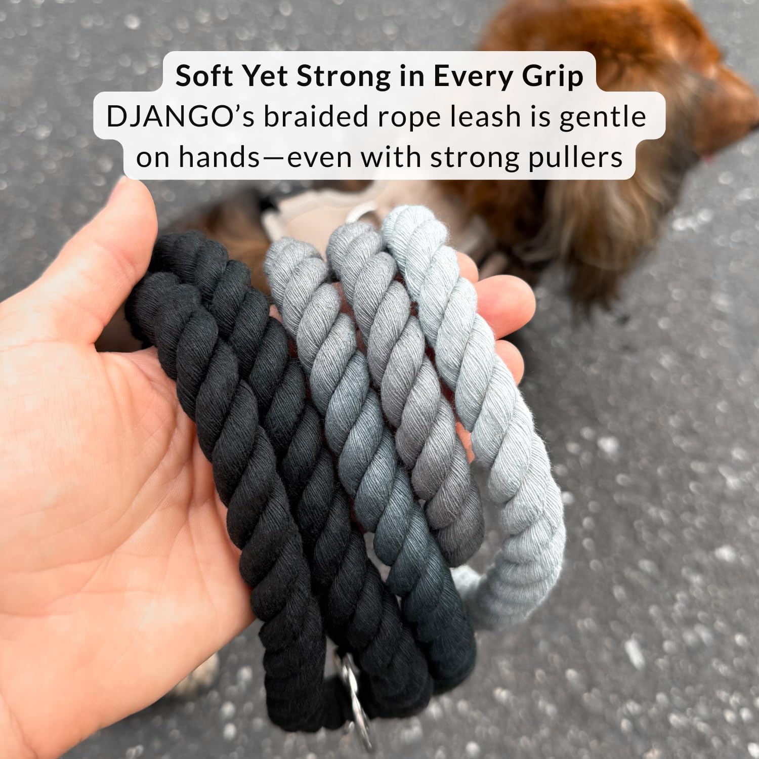 DJANGO Cotton Rope Dog Leash 5ft – Handcrafted Dog Leash and Black Ombre Braided Leash for Small, Medium, and Large Dogs – Stylish Durable 5 Foot Training Lead with Silver Hardware – Poppy Seed Gray