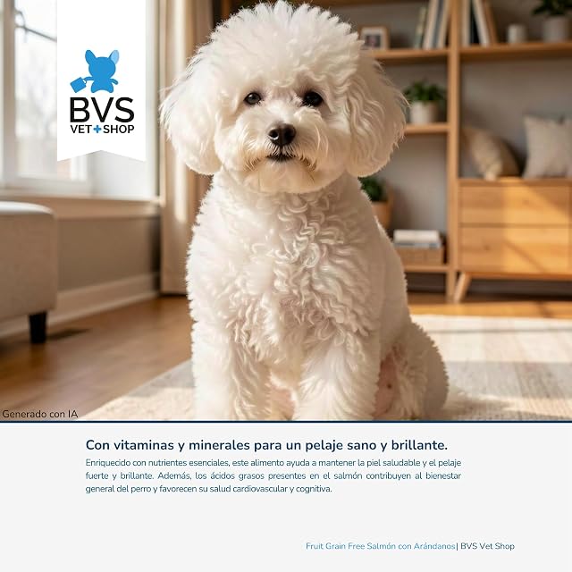Foto 4 de 8 de BVS Vet Shop
