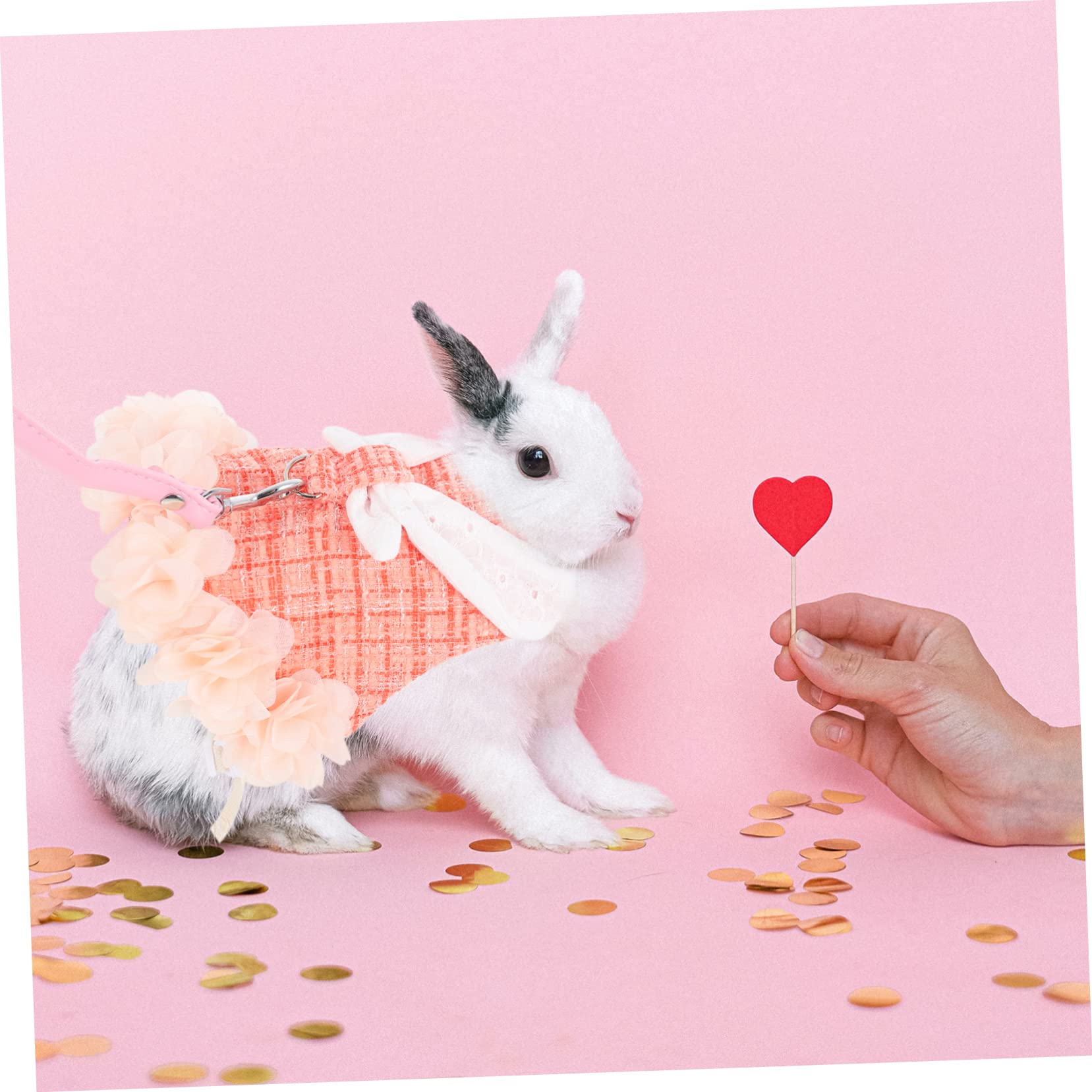 Supvox 3sätze Mit Atmungsaktives Bunny Geschirr Für Haustiere Stylisches Und Bequemes Bunny Outfit Orange Für Ausflüge Und Tägliche