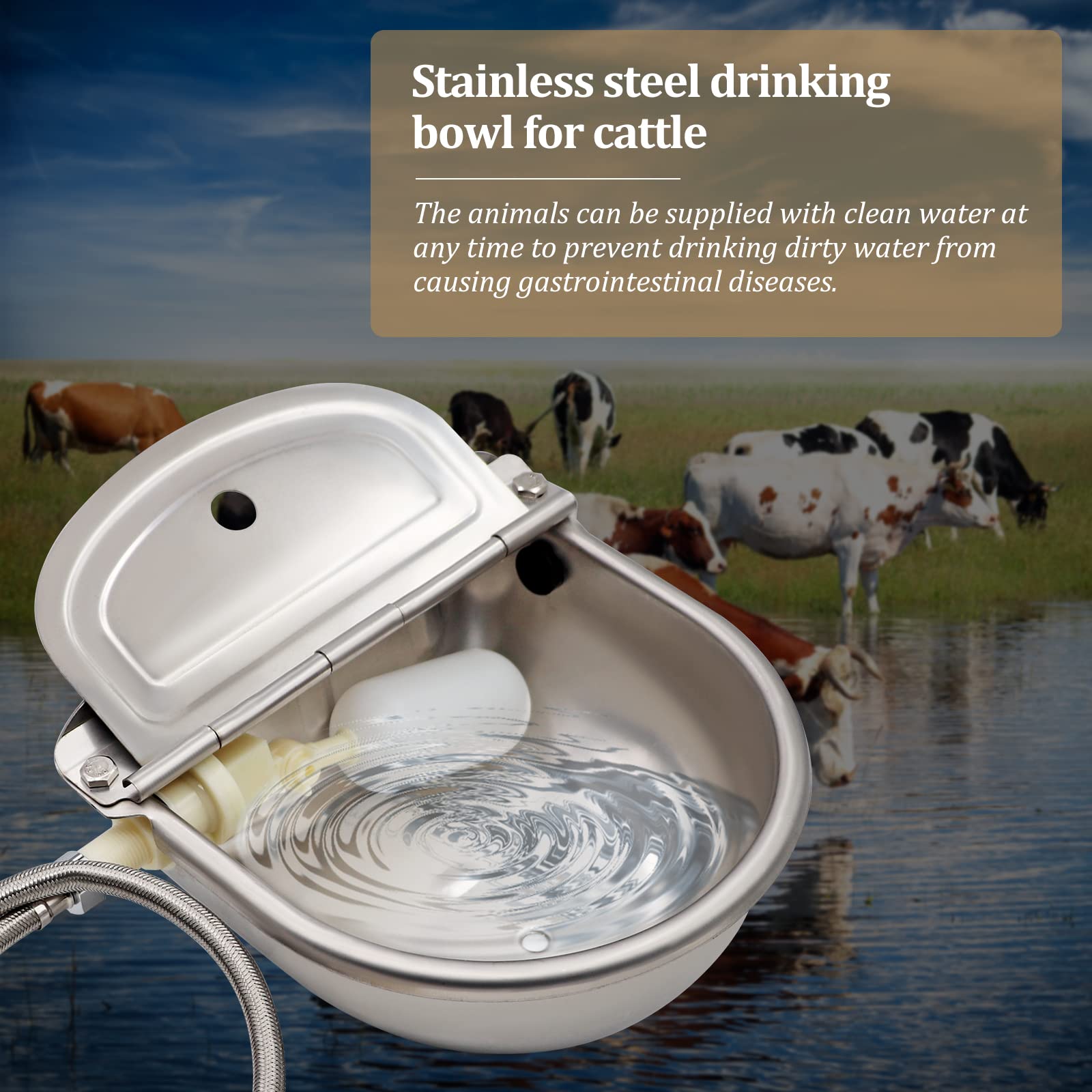 Abreuvoirs Abreuvoir à BéTail Automatique 5 en 1 Inoxydable Abreuvoir à Bovins avec 1 Vanne à Flotteur 1 Tuyau Rraided et 2 Vis D'Expansion Abreuvoir pour Chevaux Cheval Chien